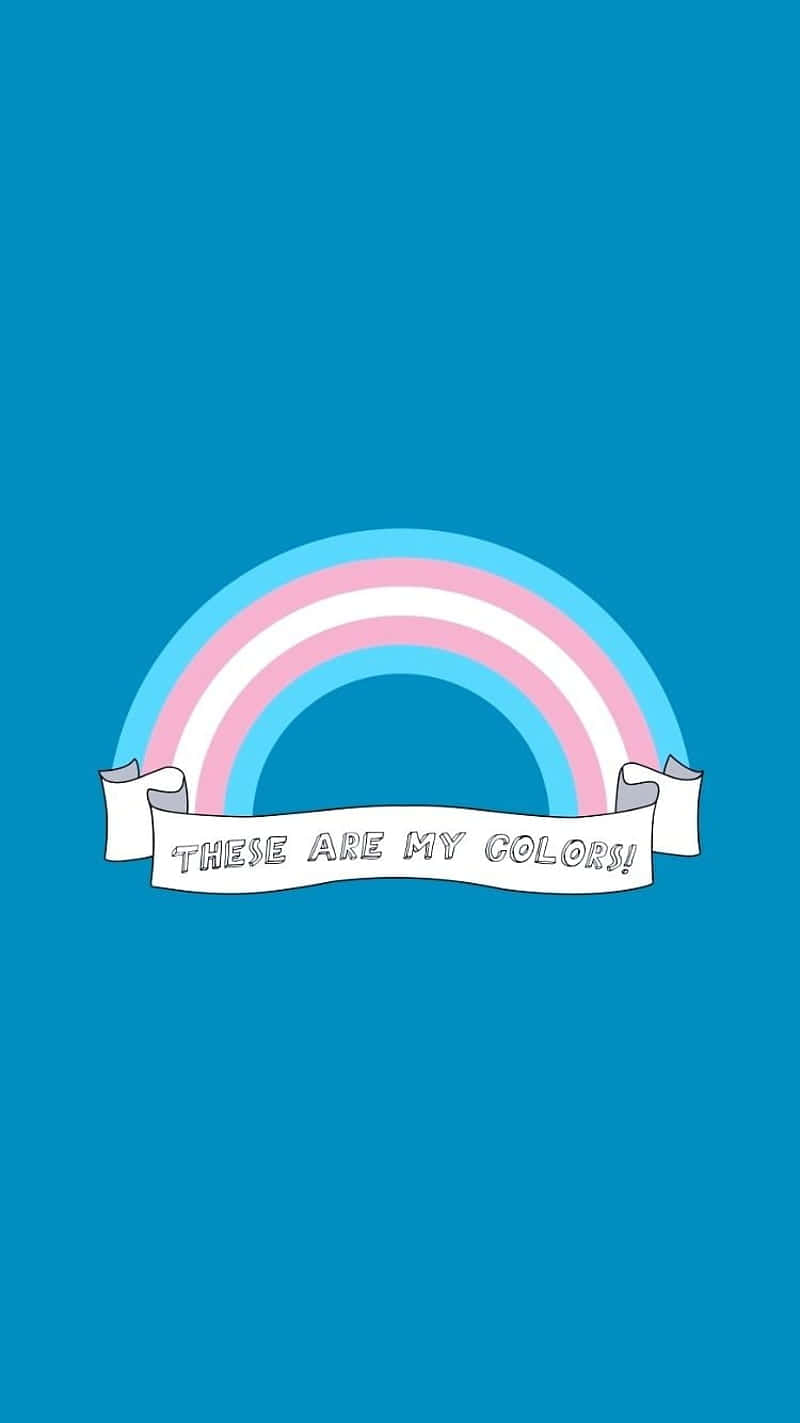 trans pride, rainbow, light blue, HD Phone Wallpaper