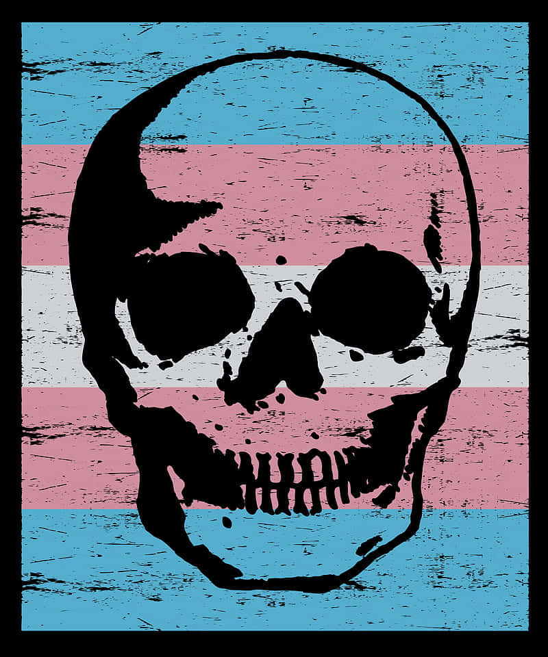 transgender flag, black skull silhouette, weathered texture, SD Phone Wallpaper