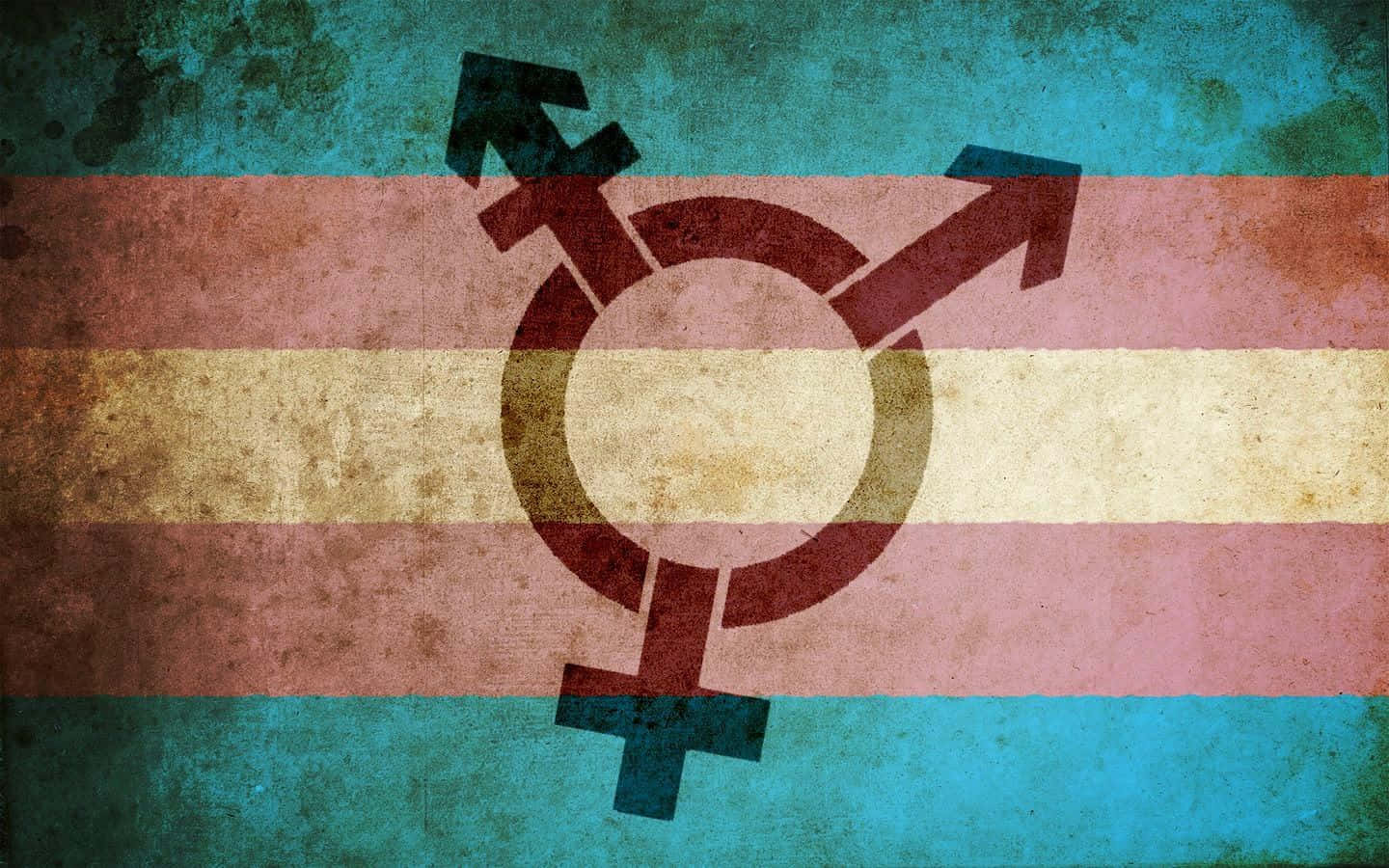 Trans Pride, transgender flag, bold stripes, HD Desktop Wallpaper