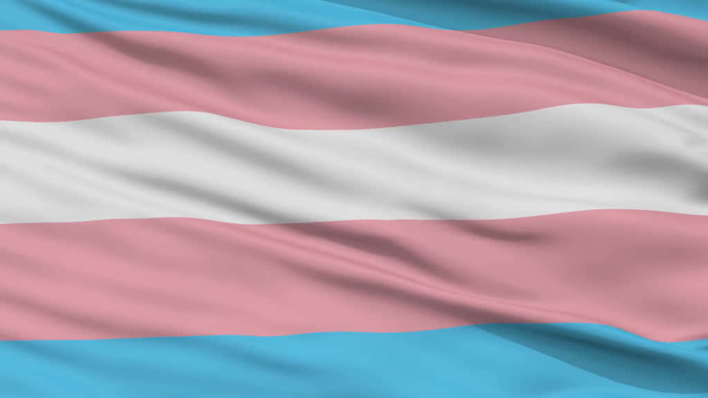 trans flag, light blue, pink, SD Desktop Wallpaper