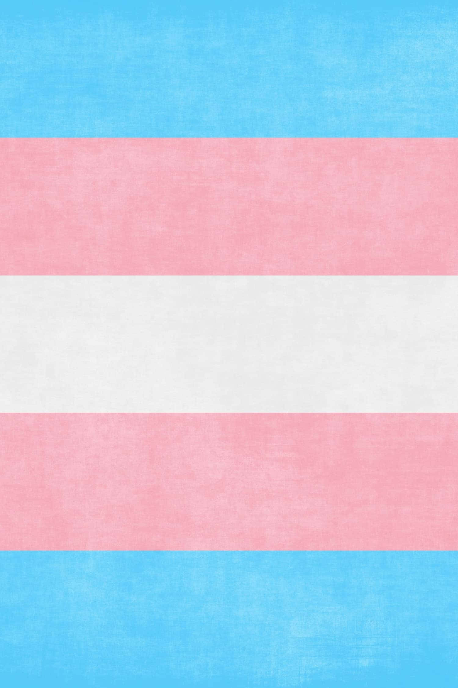 transgender flag, blue background, pink, Full HD Phone Wallpaper