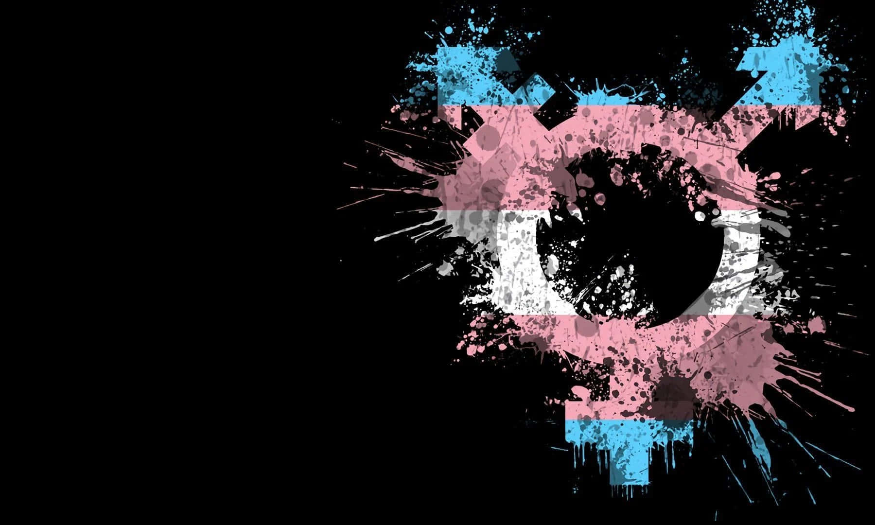 trans, transgender flag, pink, HD Desktop Wallpaper