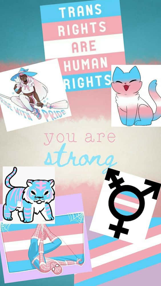 trans phone, trans rights are human rights, trans pride symbols, SD Phone Wallpaper