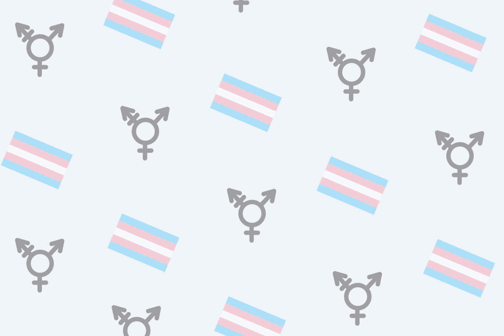 trans pride flags, gender symbols, light gray background, HD Desktop Wallpaper