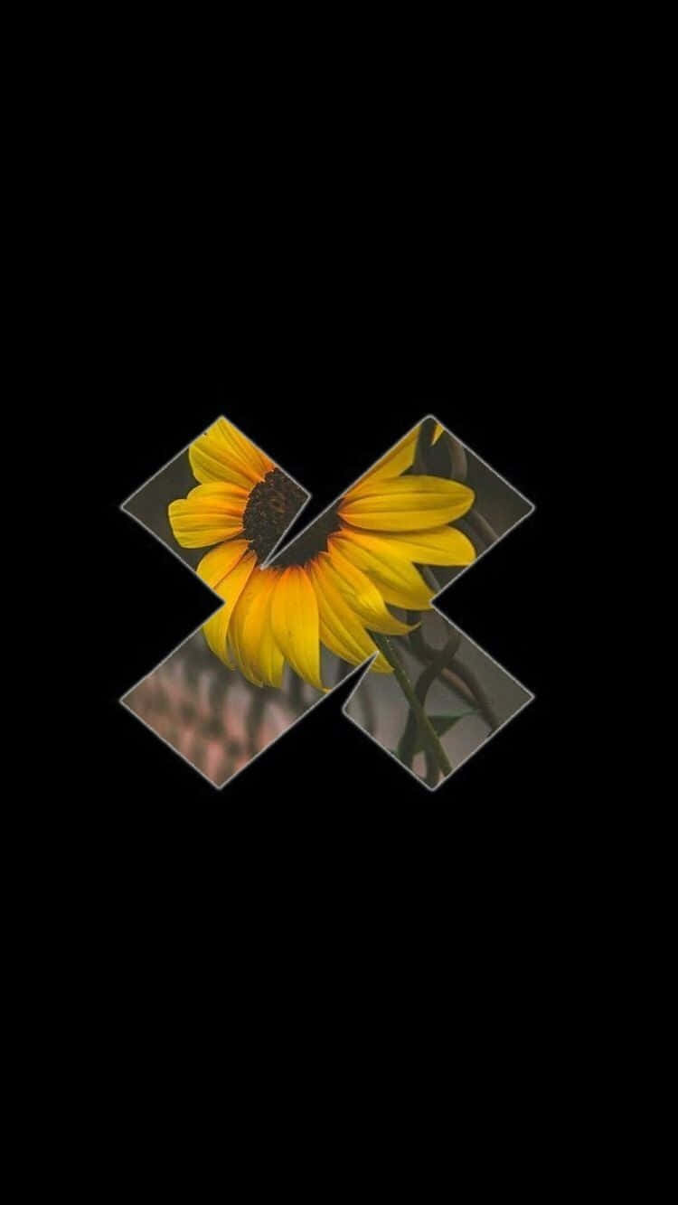 Trap House, yellow sunflower, diamond panels, HD Phone Wallpaper