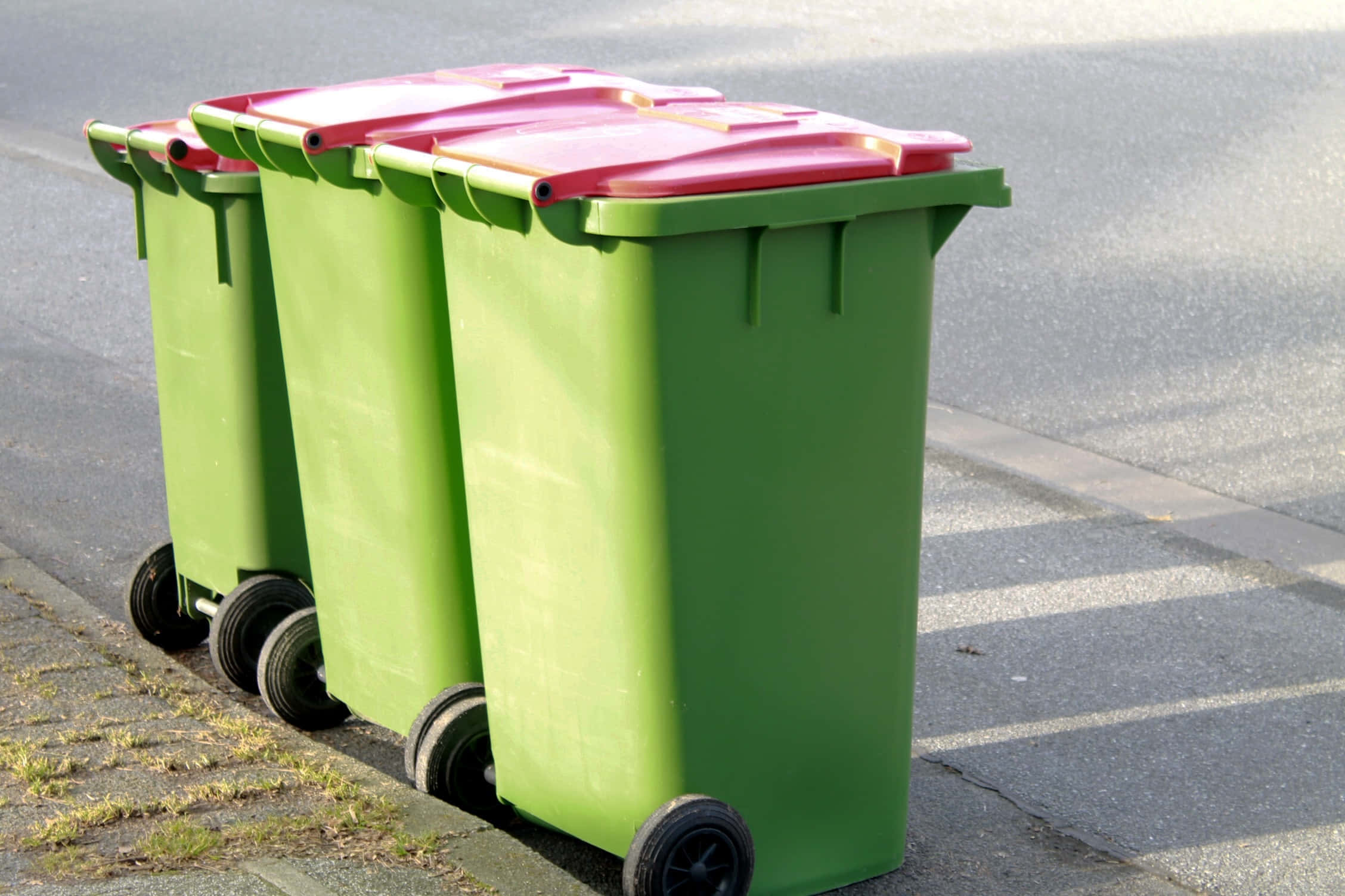 green, red lid, wheelie trash can, Full HD Desktop Wallpaper