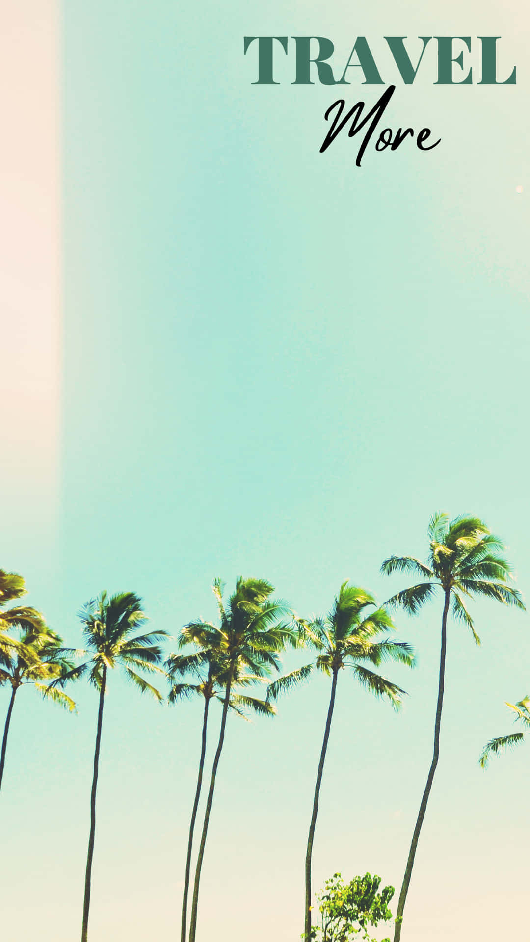 palm trees, soft gradient sky, travel more, Full HD Phone Wallpaper