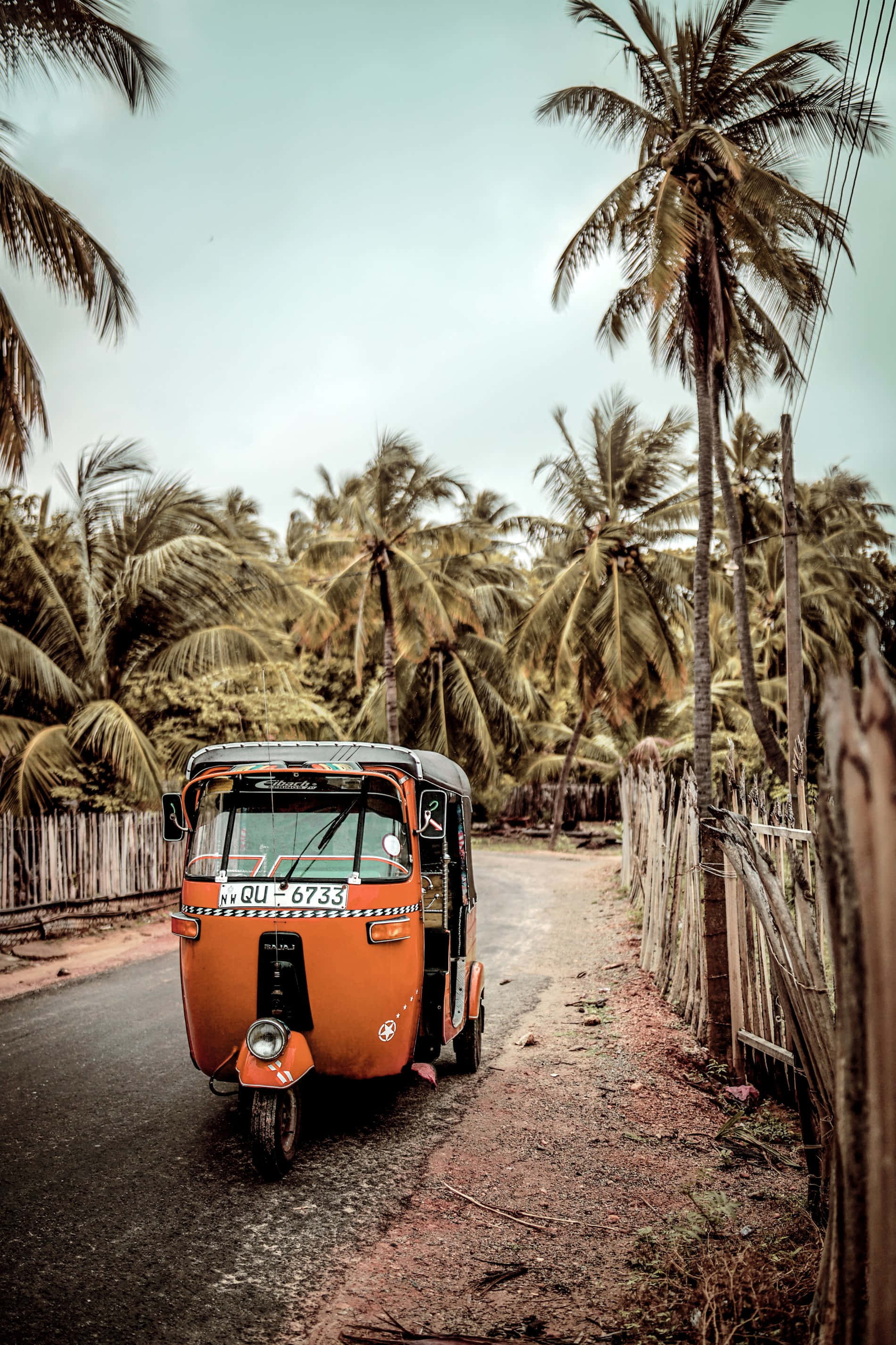 Travel Aesthetic Phone, vibrant orange, auto rickshaw, 2K Phone Wallpaper