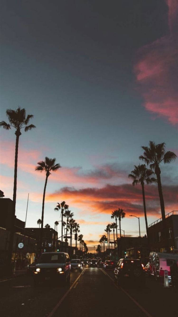 vintage aesthetic phone, palm trees, vibrant sunset sky, HD Phone Wallpaper