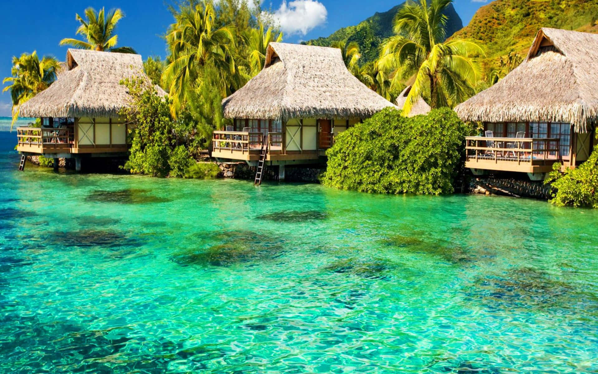 tropical overwater bungalows, thatched roofs, crystal clear turquoise water, Full HD Desktop Wallpaper