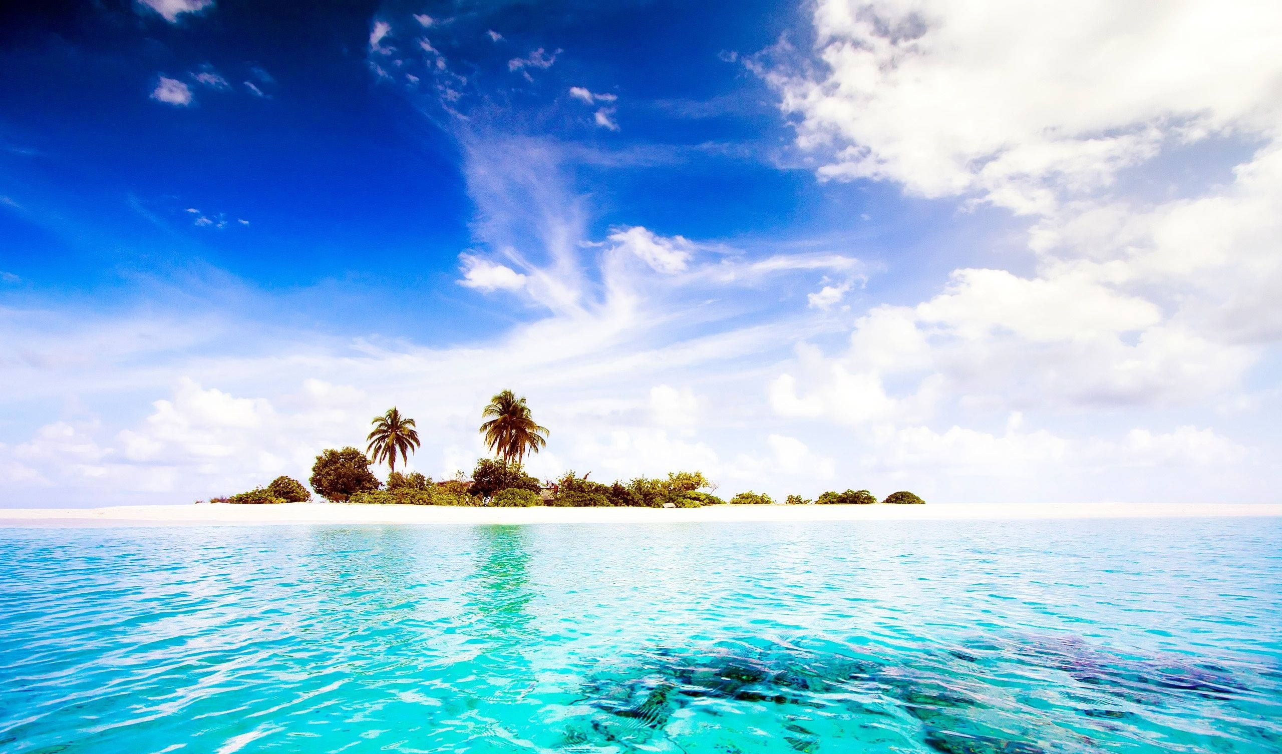 tropical island, palm trees, crystal clear turquoise water, 2K Desktop Wallpaper