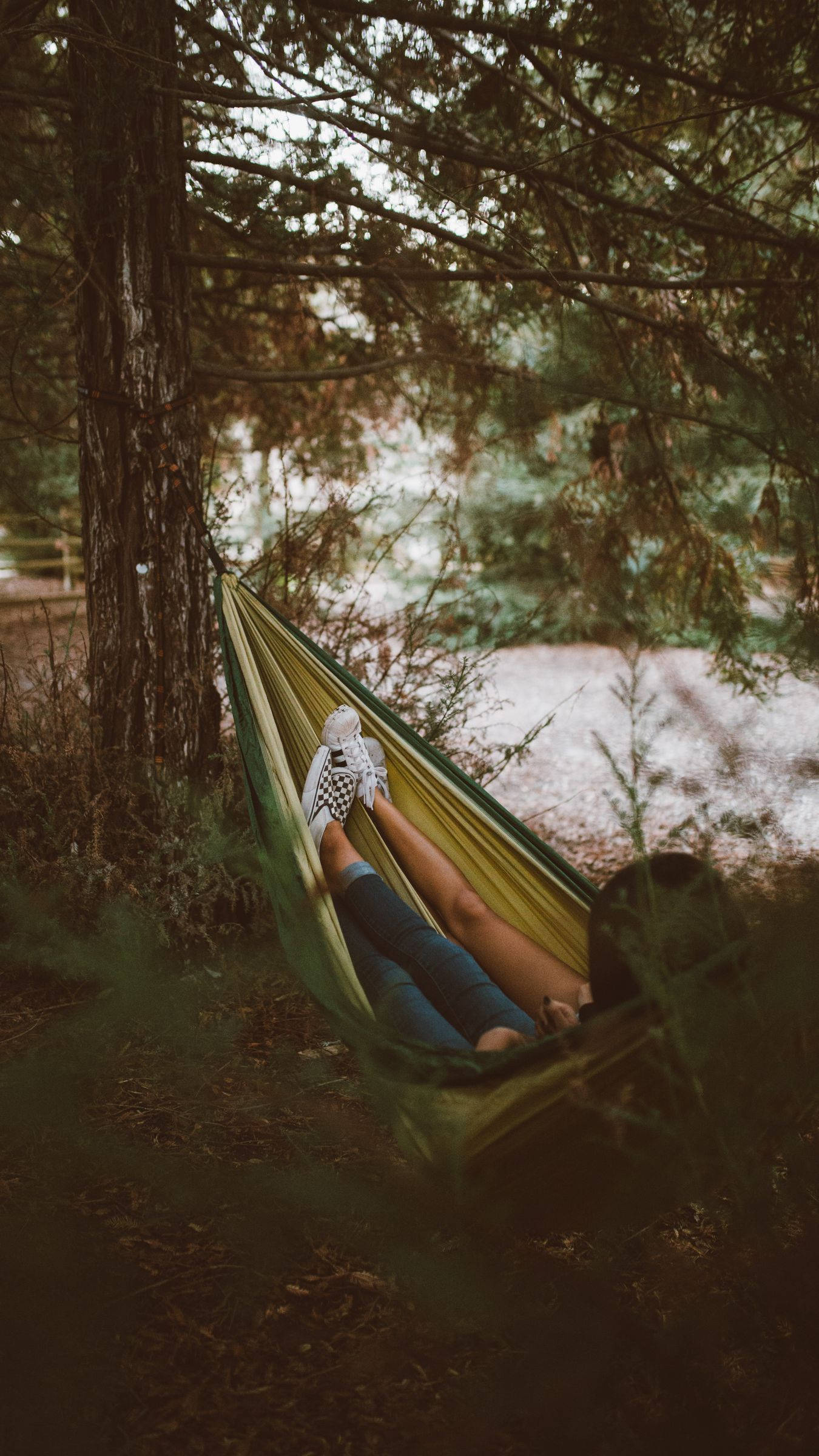iPhone Travel, green hammock, serene forest, Full HD Phone Wallpaper