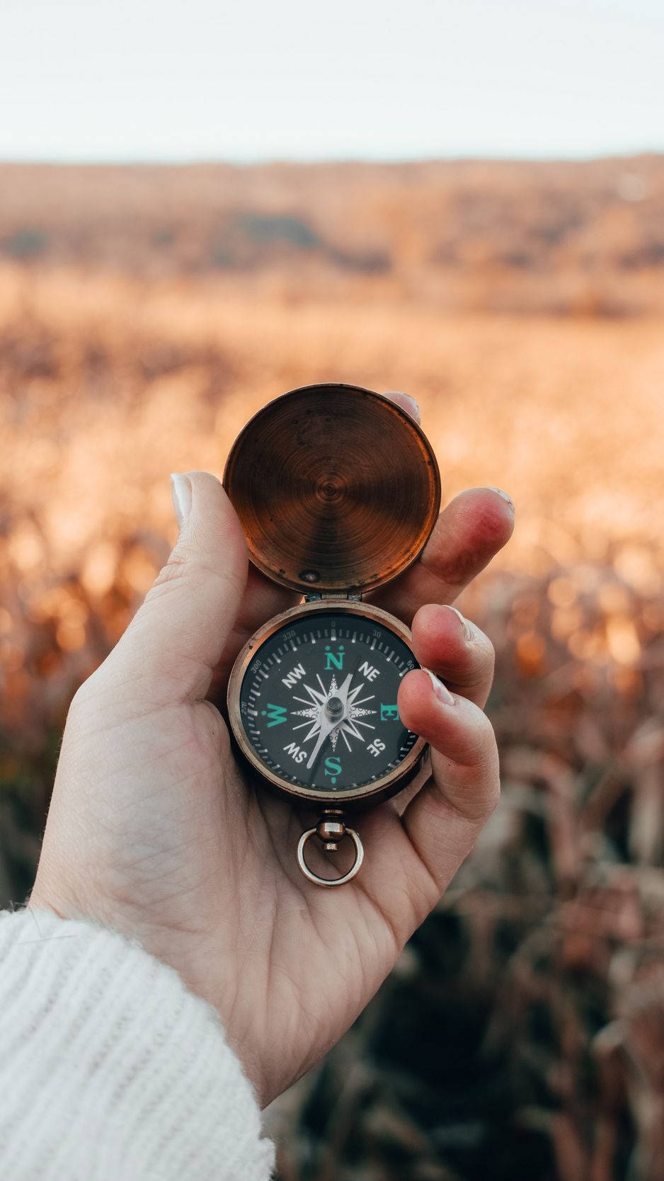 iPhone Travel, brass compass, golden field, HD Phone Wallpaper