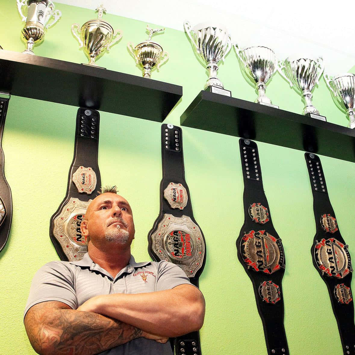 Travis Fulton, championship belts, trophies, SD Desktop Wallpaper