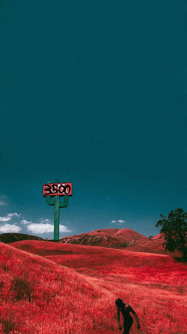 Travis Scott Jack Boys, vivid red grass, deep teal sky, HD Phone Wallpaper