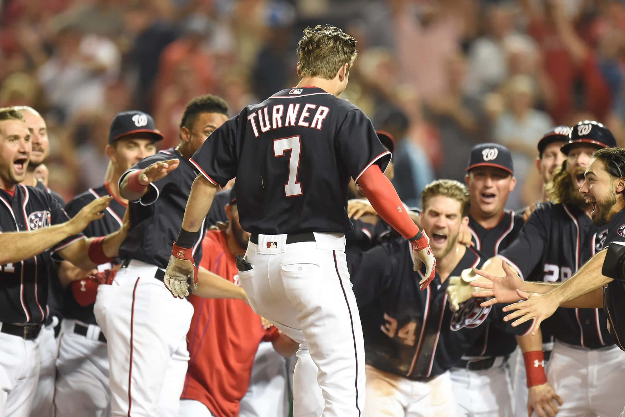 Trea Turner, number 7, navy jerseys, Full HD Desktop Wallpaper