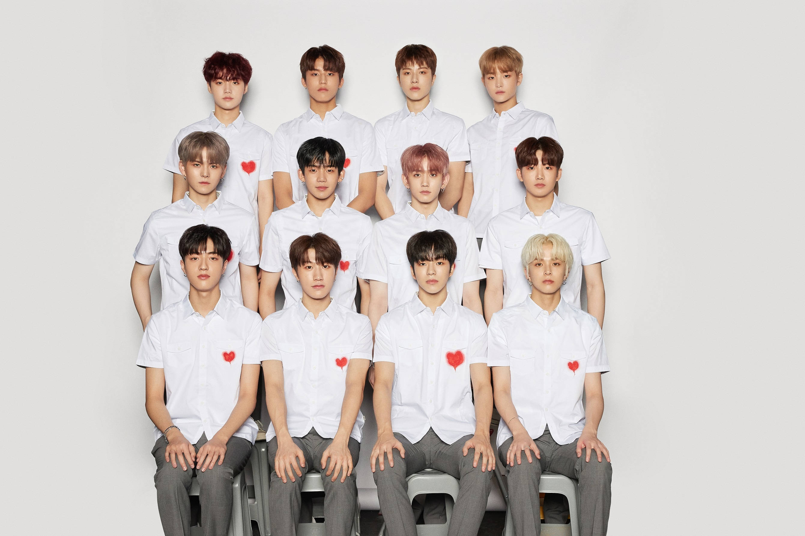 Treasure, white shirts, red hearts, 2K Desktop Wallpaper