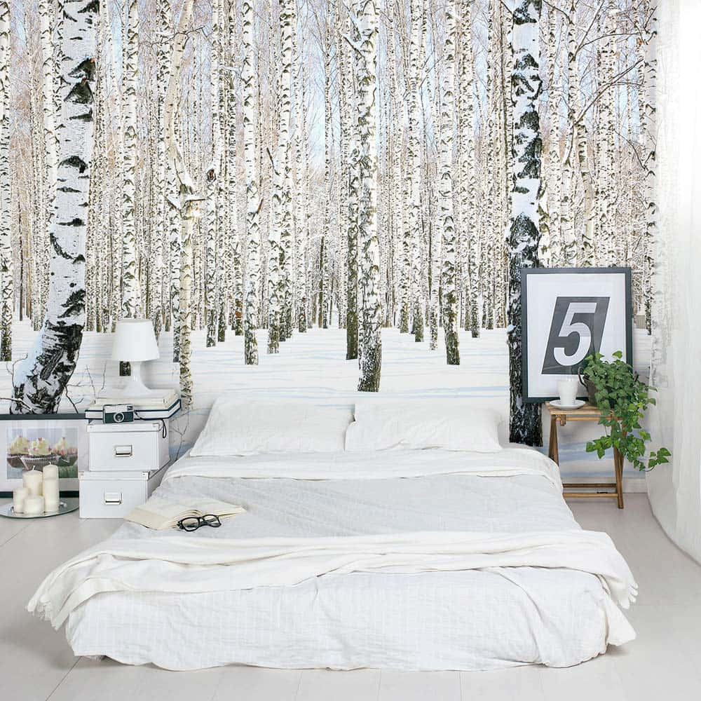 birch forest wallpaper, snow-covered trees, soft daylight, SD Desktop Wallpaper