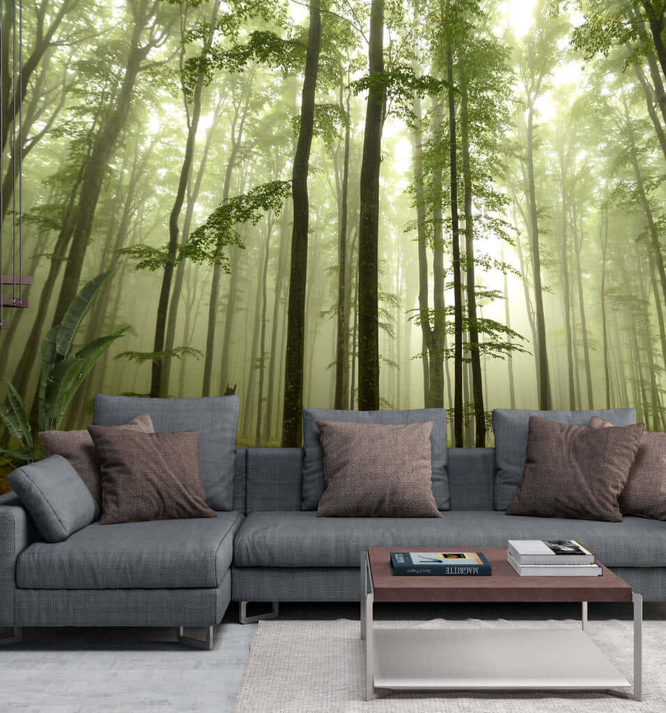 forest wallpaper, modern gray sectional sofa, tall trees, SD Phone Wallpaper