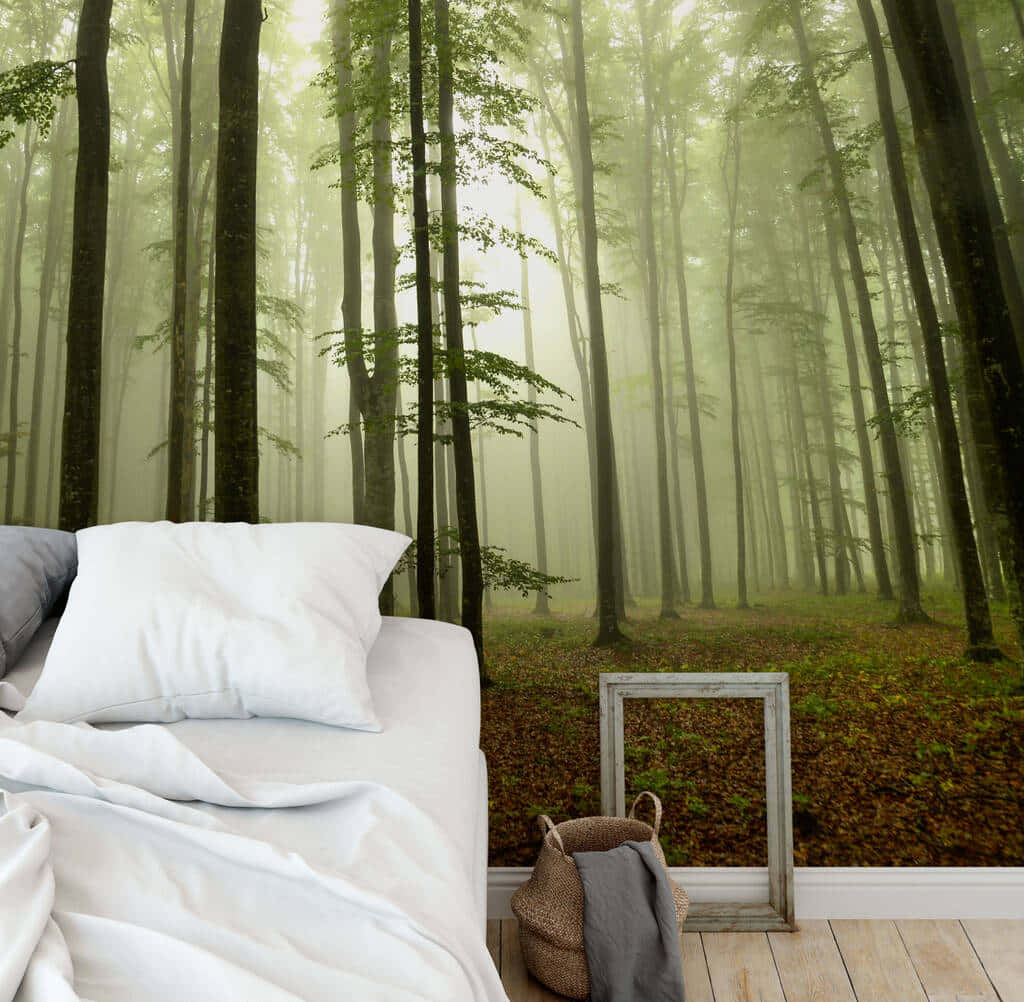 forest mural, bedroom wall art, tall trees, SD Desktop Wallpaper