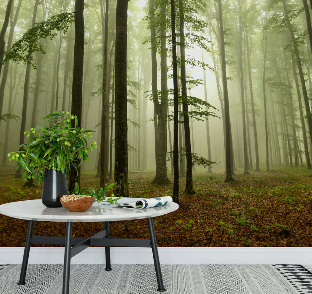 forest mural, misty forest, tall trees, SD Desktop Wallpaper