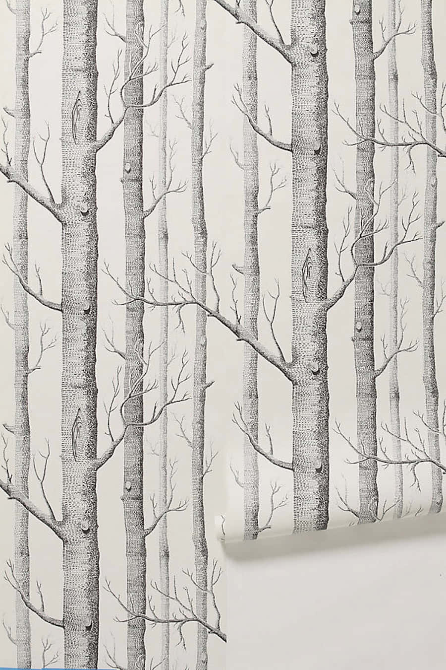 tree trunk wall painting design, tall bare trees, intricate branches, HD Phone Wallpaper