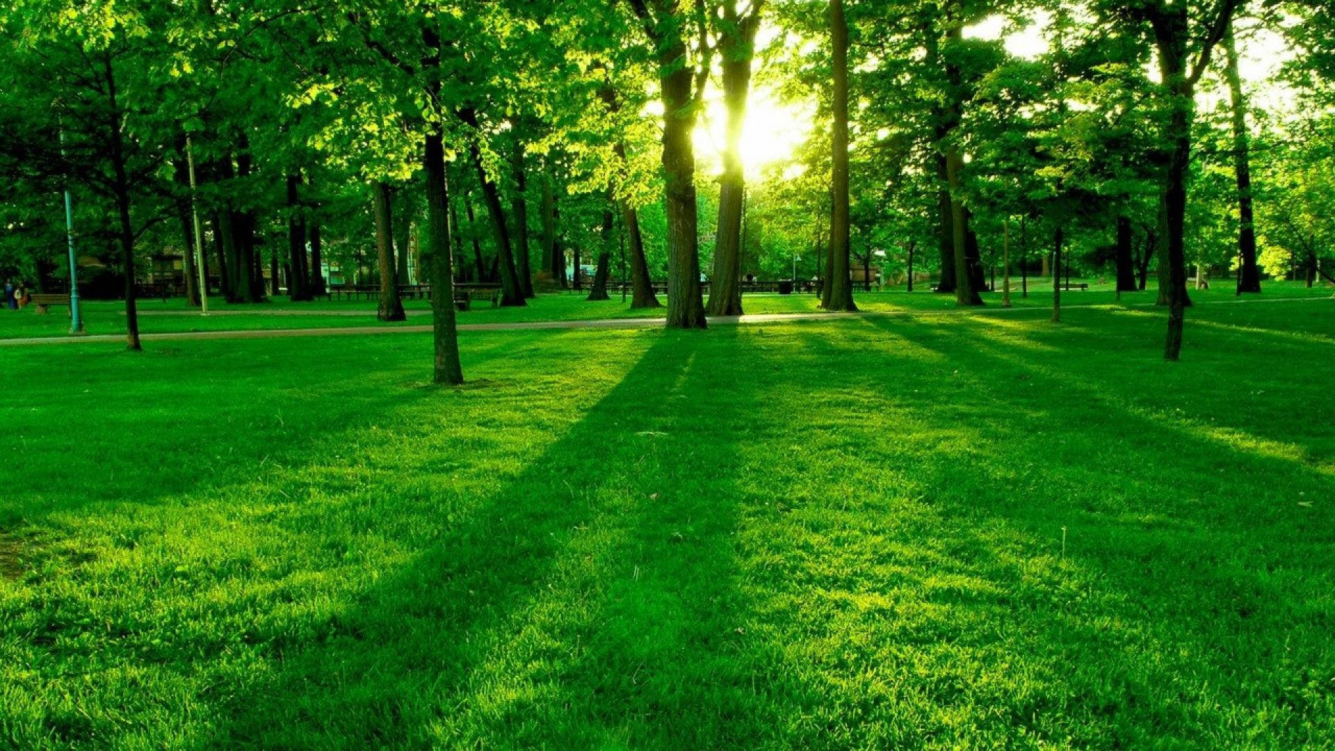 1920x1080, Full HD, nature, Full HD Desktop Wallpaper