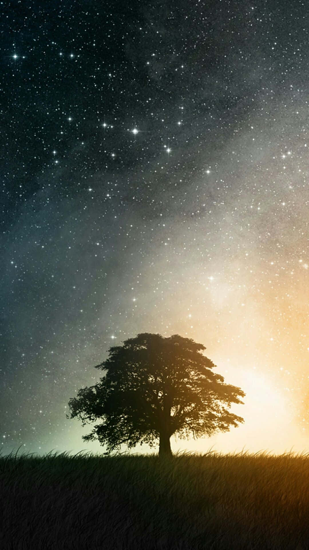 Tree Phone, Starry Night, lone tree silhouette, Full HD Phone Wallpaper