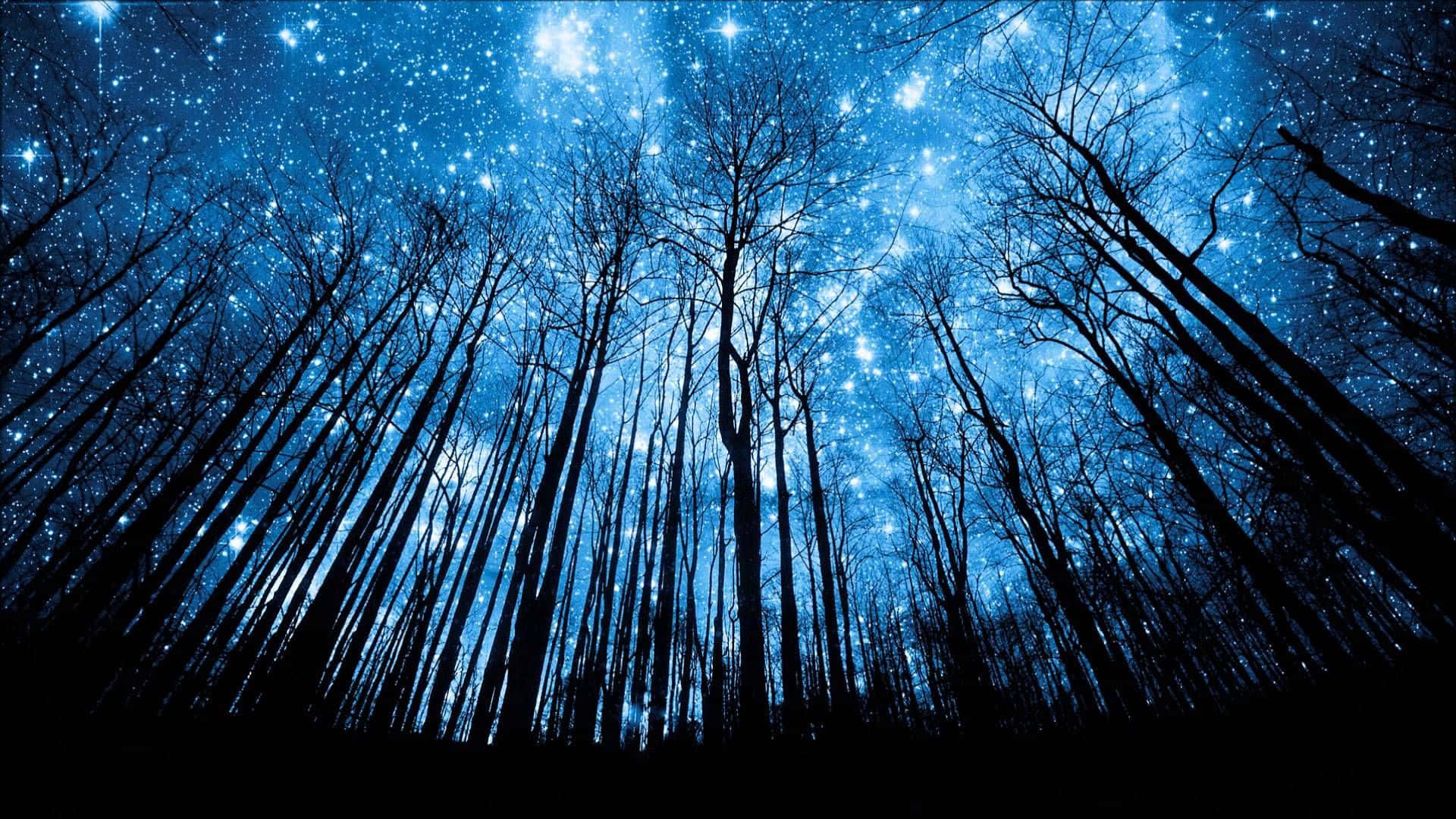 vibrant blue starry night sky, cosmic light, silhouetted trees, Full HD Desktop Wallpaper