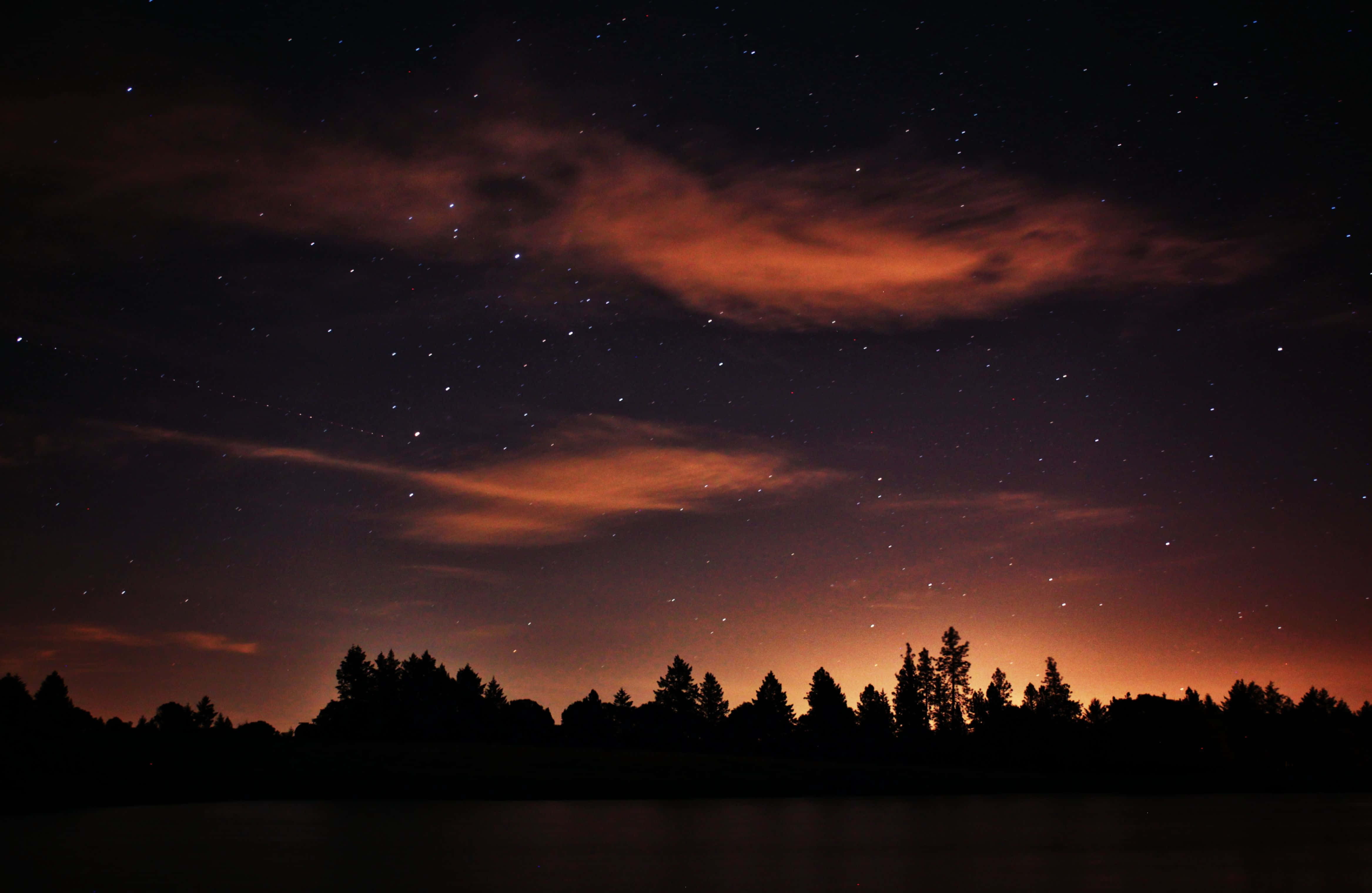 Magical Night Sky, silhouette of trees, glowing orange clouds, 4K Desktop Wallpaper