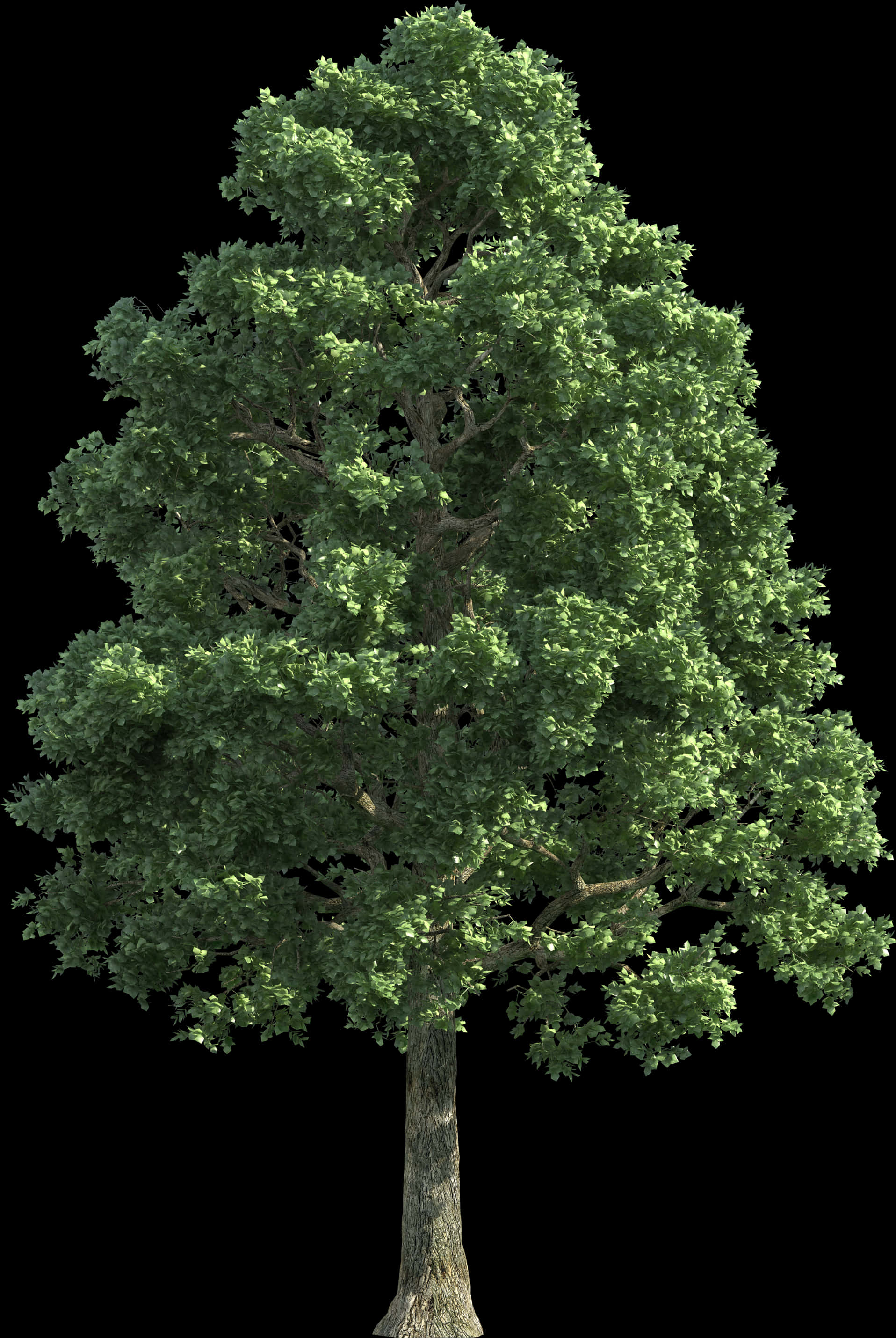 vibrant green, tree, textured bark, 2K Phone Wallpaper