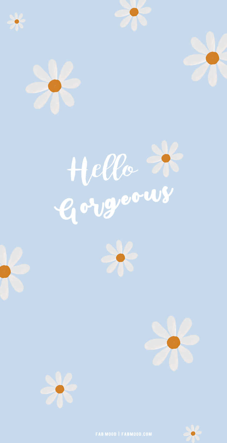 white daisies, orange centers, soft blue background, HD Phone Wallpaper