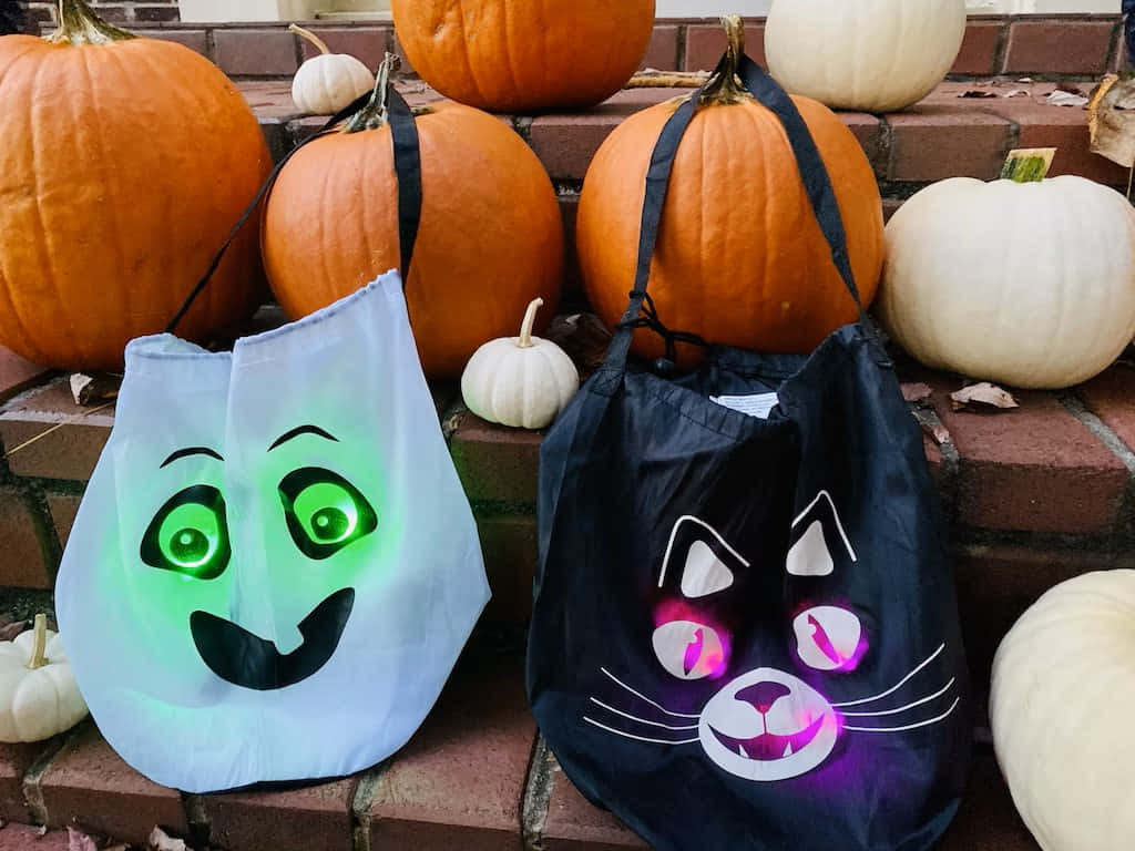 Trick Or Treat Bags, ghost, cat, SD Desktop Wallpaper