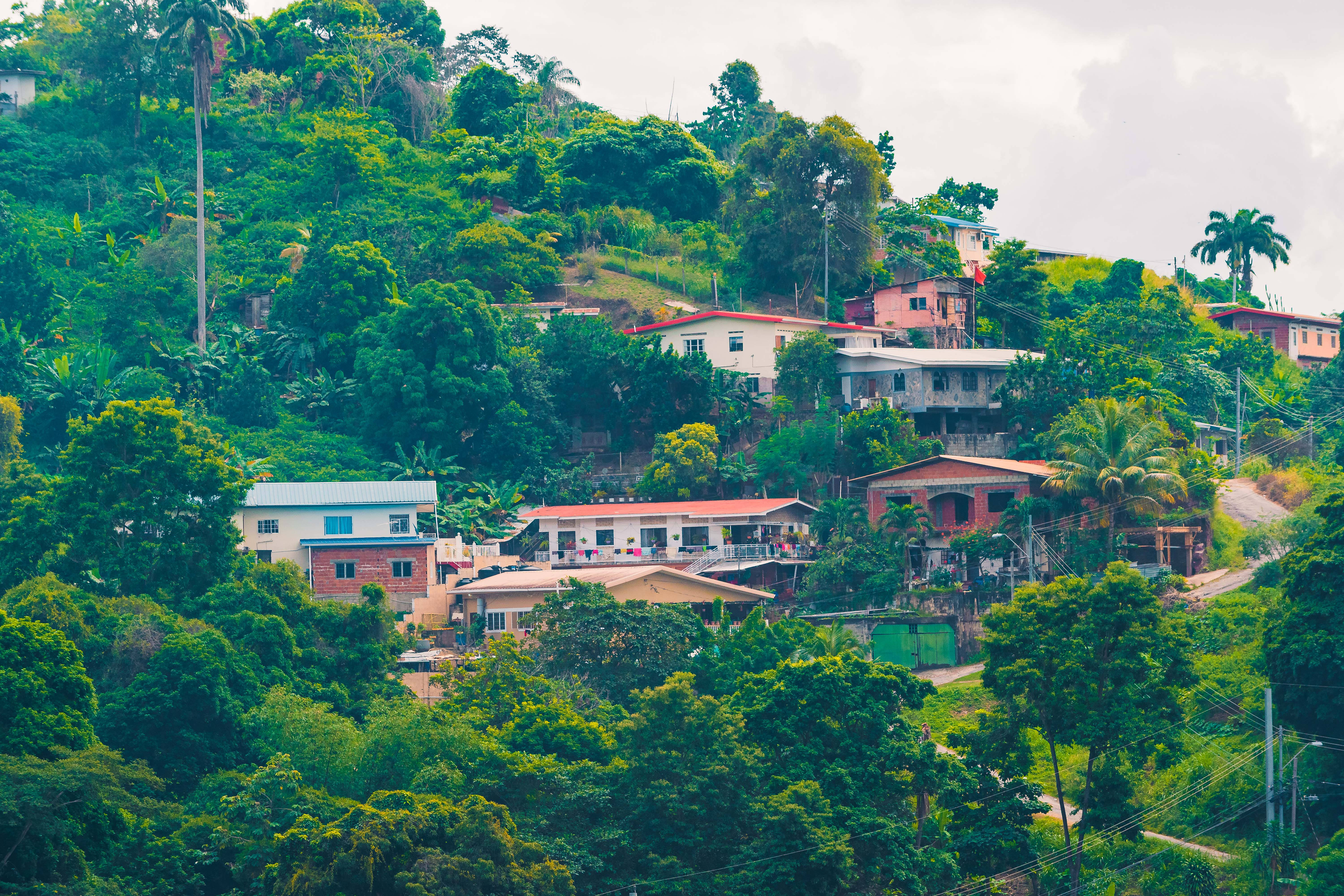 Trinidad And Tobago, hillside houses, dense green trees, 5K Desktop Wallpaper