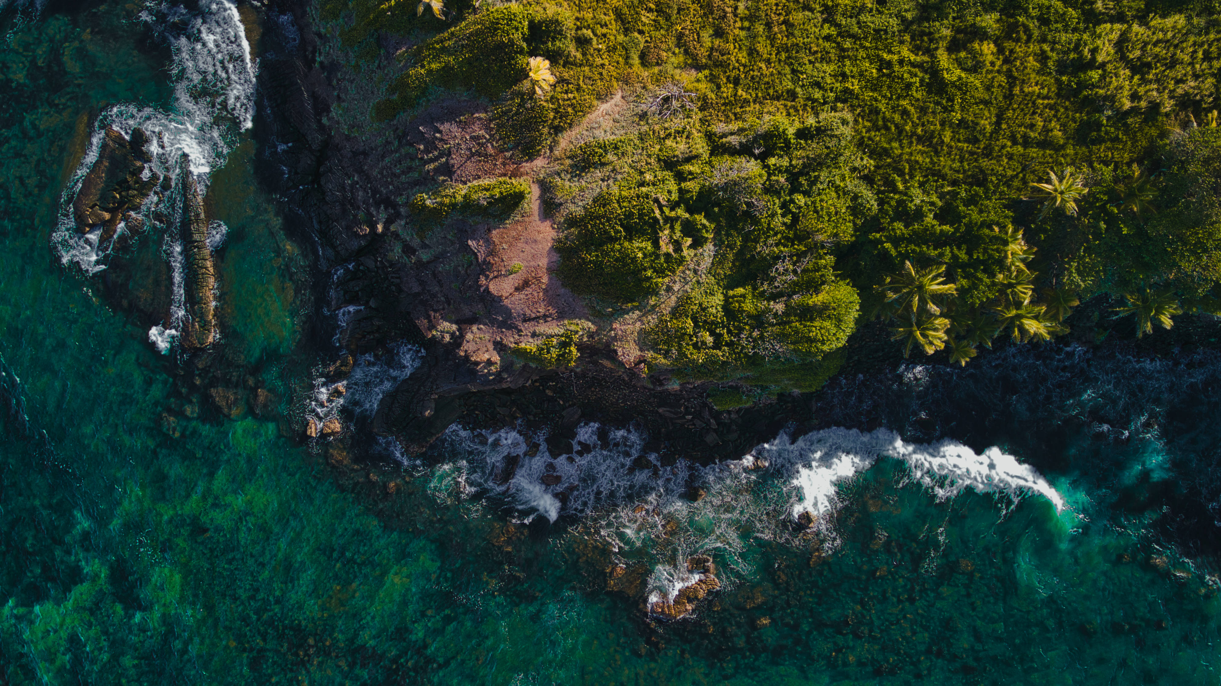 Trinidad And Tobago, coastline, lush green jungle, 4K Desktop Wallpaper