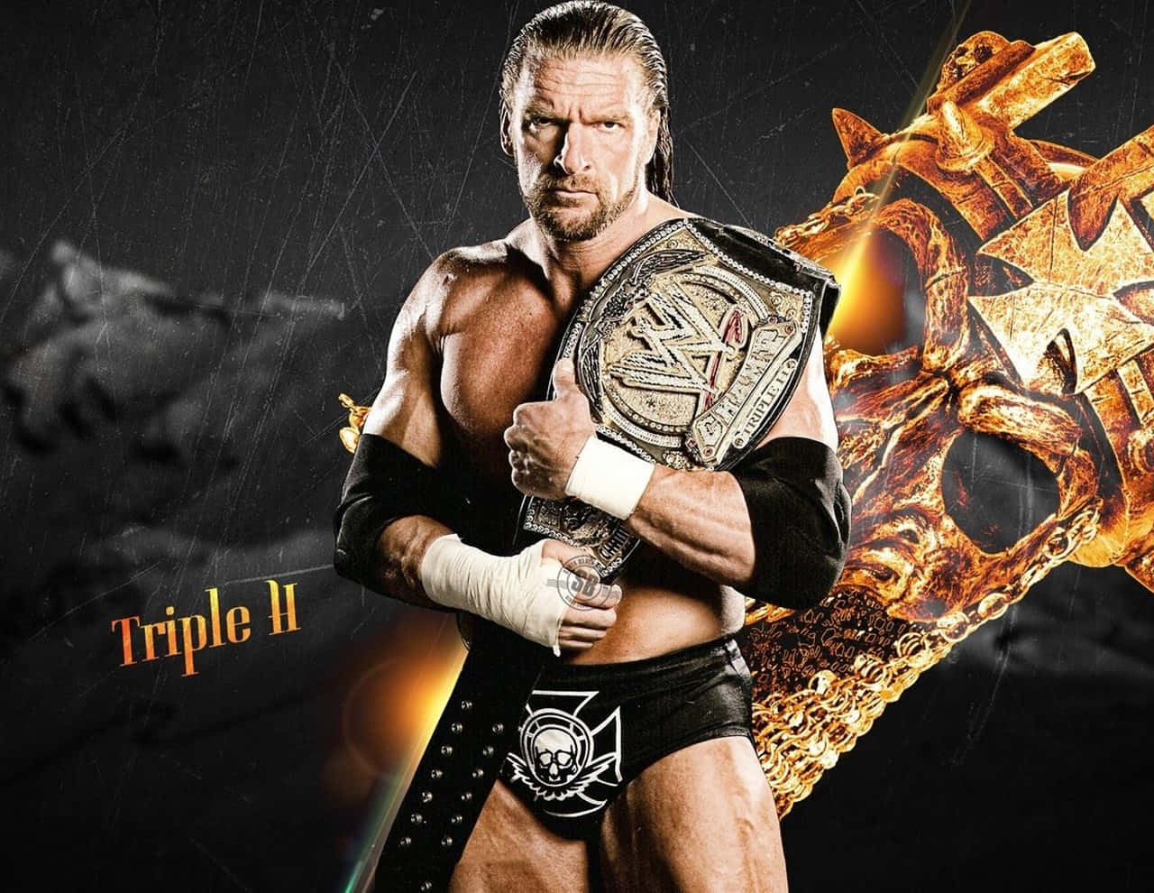 Triple H, black and gold, championship belt, HD Desktop Wallpaper