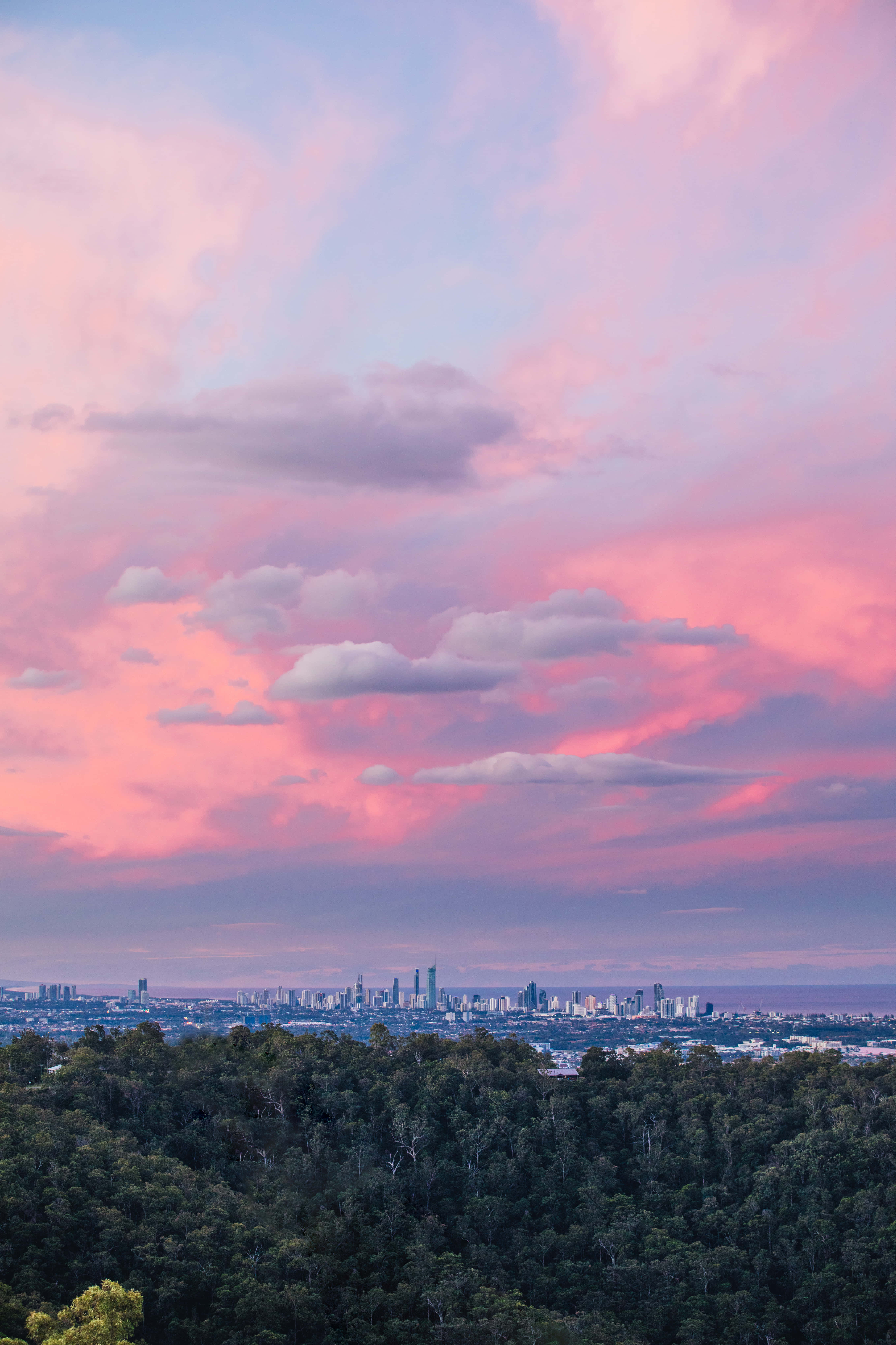 vibrant pink and purple sunset sky, dense green forest, distant city skyline, 5K Phone Wallpaper