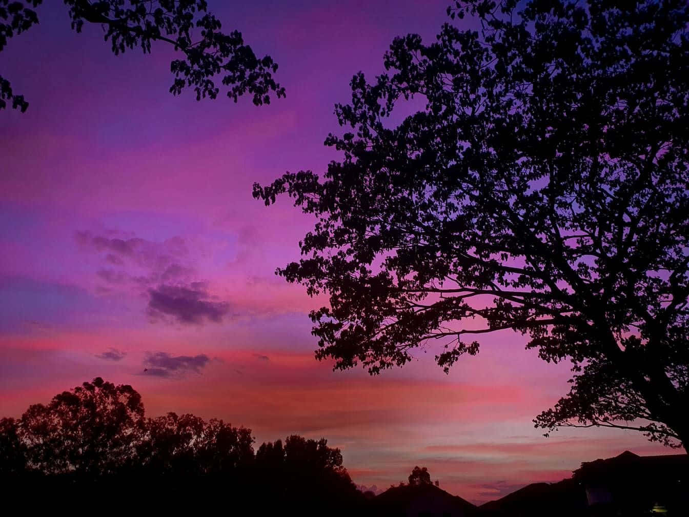 Purple Dusk, Trippy Aesthetic Cloud, vibrant purple, HD Desktop Wallpaper