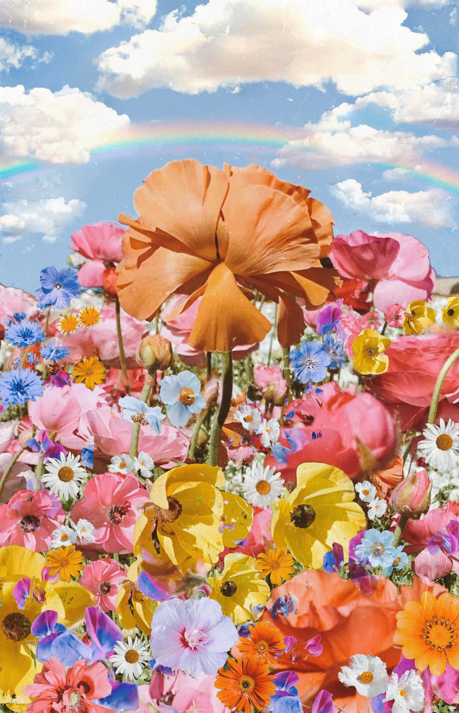Trippy Aesthetic Cloud, colorful poppies, wildflowers, Full HD Phone Wallpaper