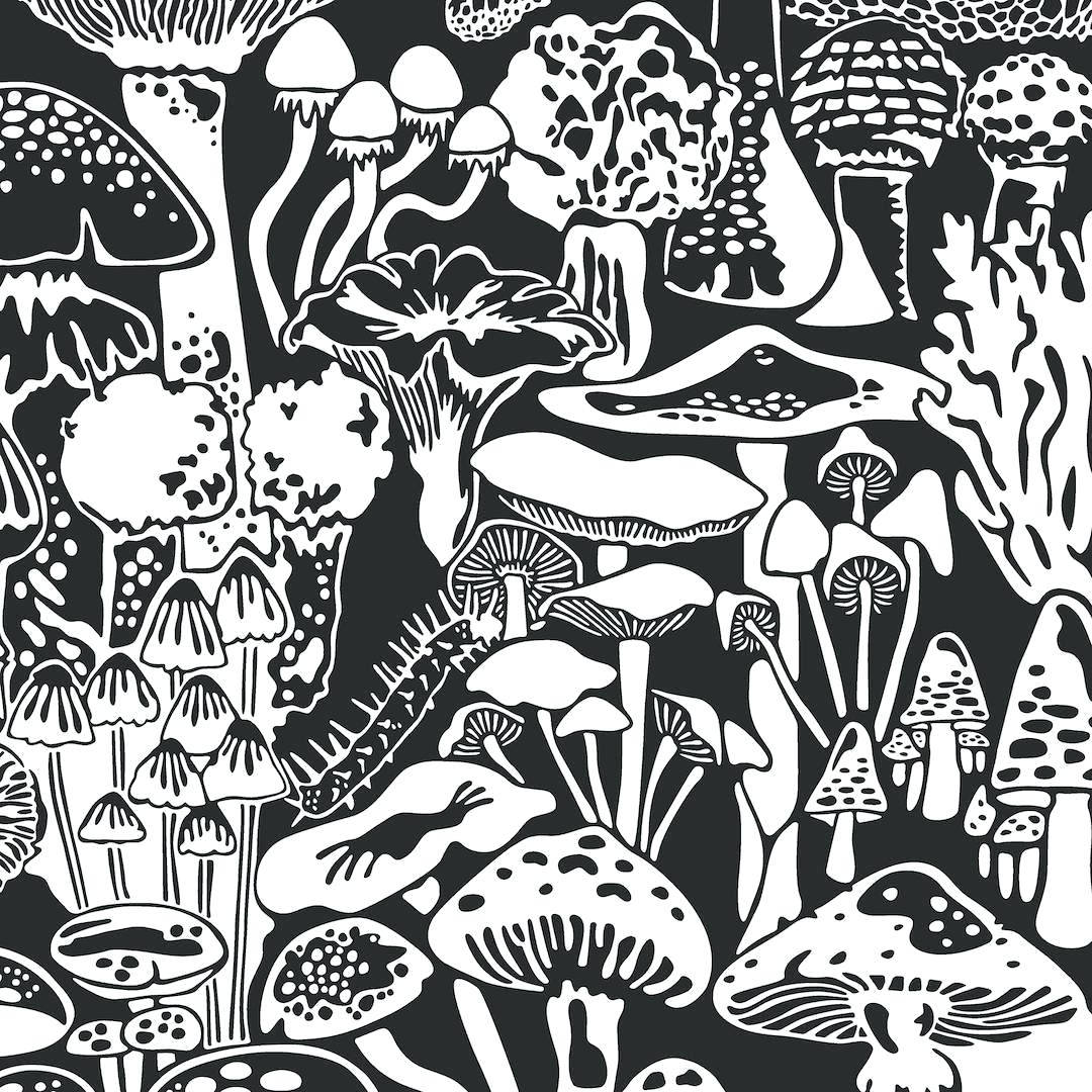 black trippy mushrooms, whimsical mushrooms, intricate patterns, SD Desktop Wallpaper