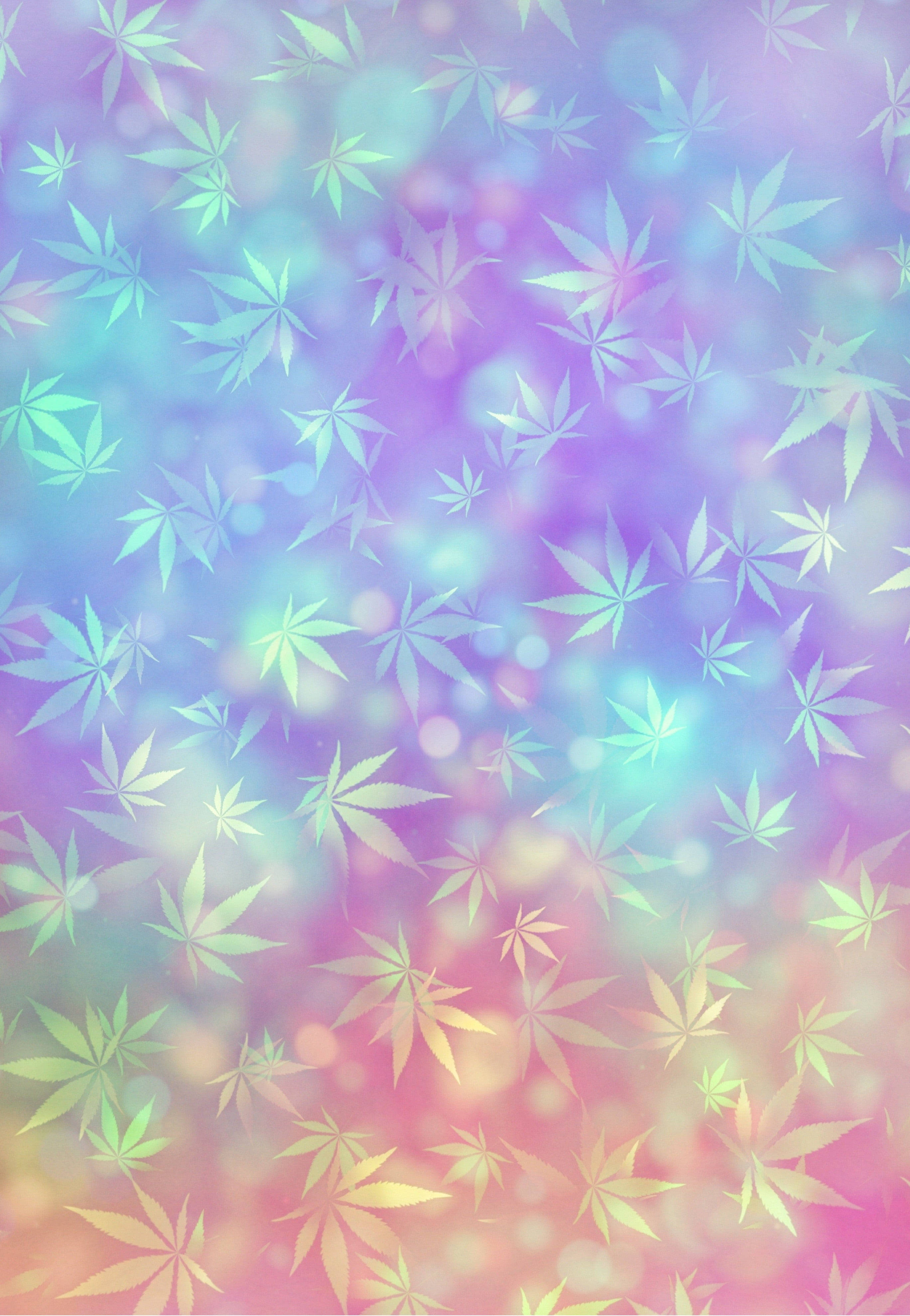 Iridescent cannabis leaves, dreamy pastel gradient background, soft glowing bokeh effects, 4K Phone Wallpaper