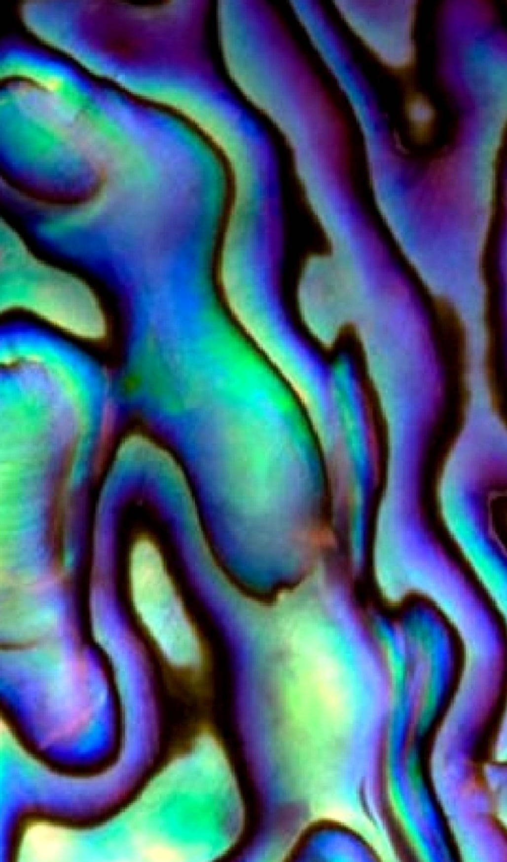 abalone shell, iridescent swirling patterns, blue green, HD Phone Wallpaper