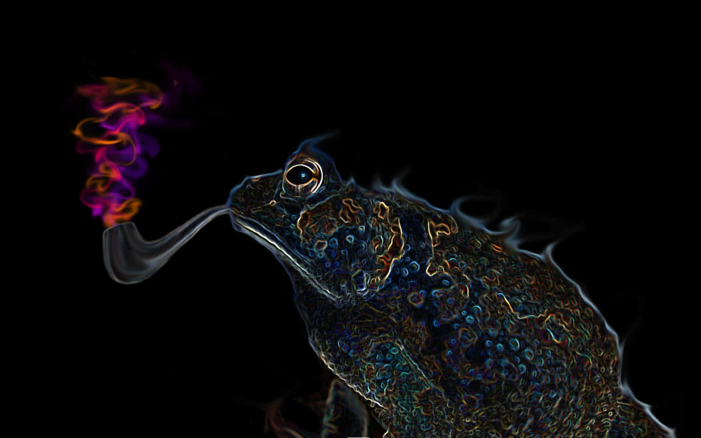 Trippy Animals, toad, neon smoke, HD Desktop Wallpaper