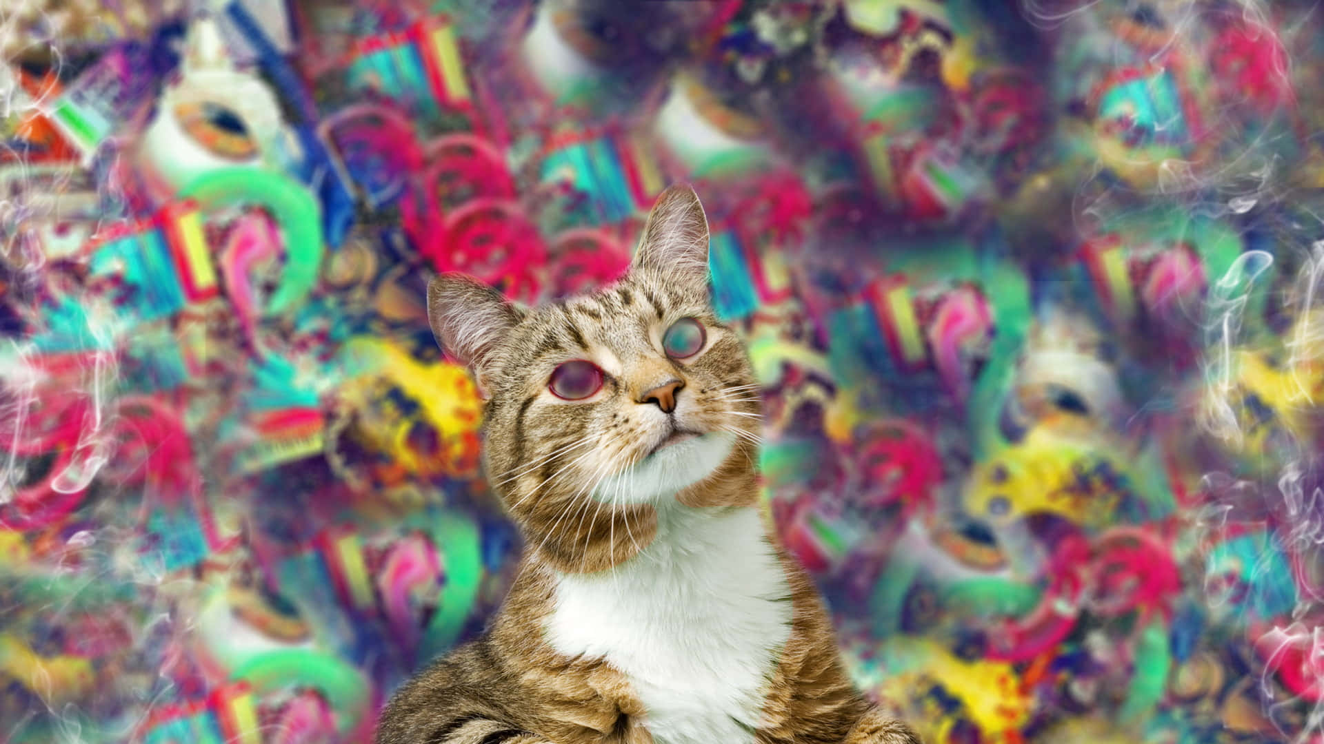 tabby cat, glowing eyes, psychedelic swirl, Full HD Desktop Wallpaper