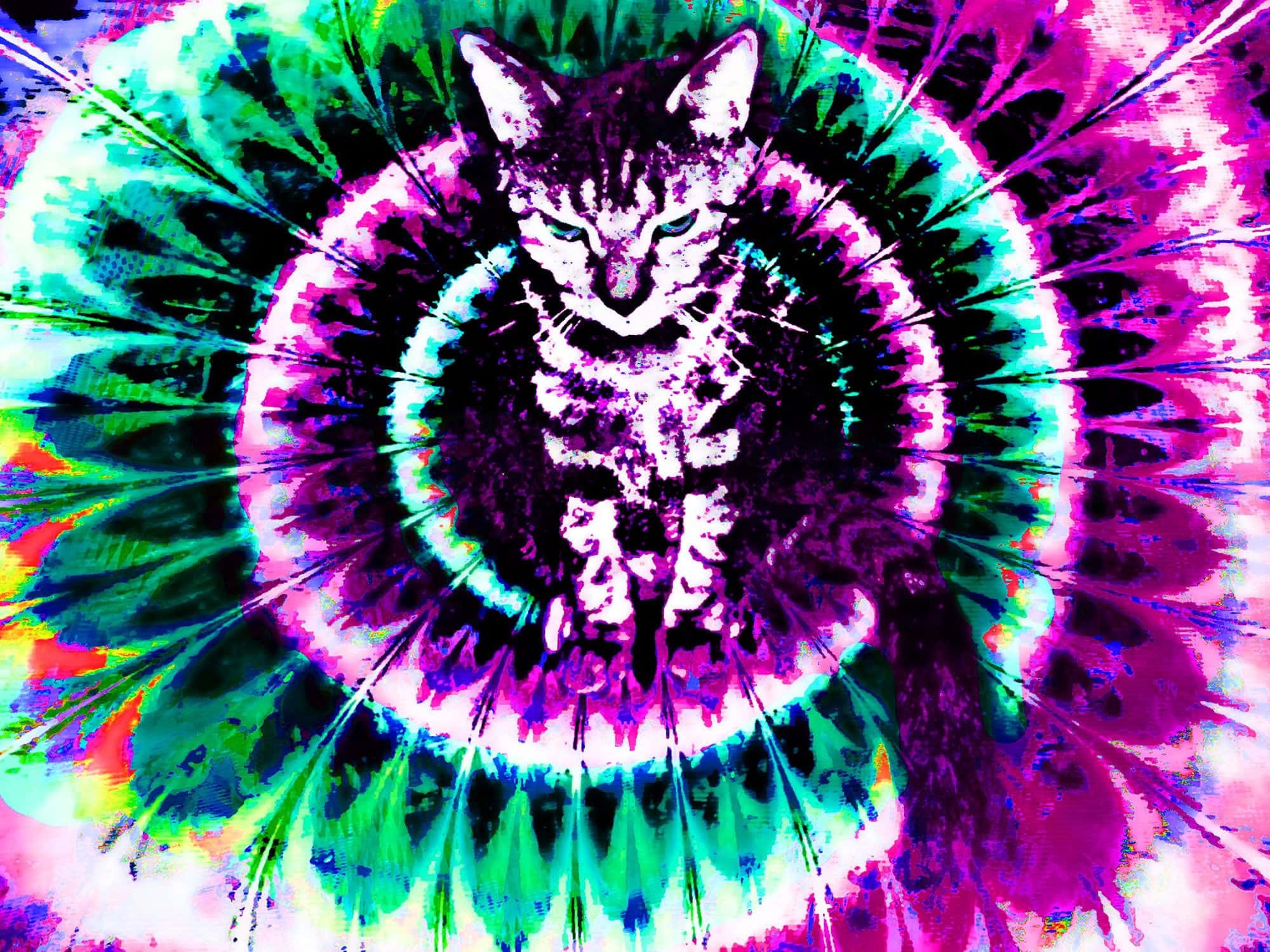 Trippy Animals, psychedelic tie-dye, neon pink, Full HD Desktop Wallpaper