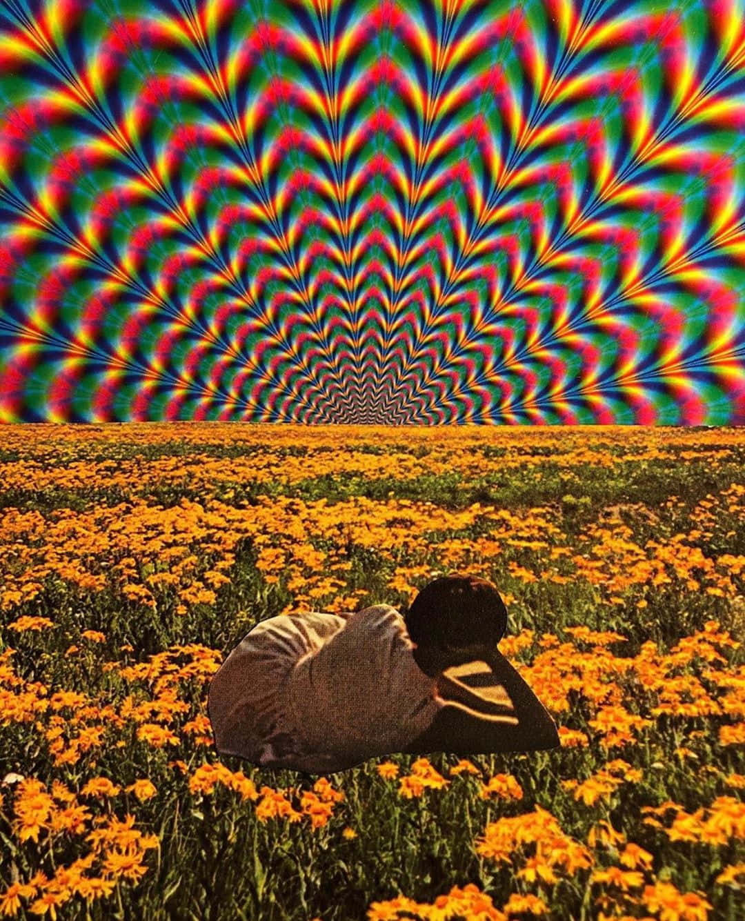 Trippy Art, orange flowers, psychedelic rainbow vortex sky, HD Phone Wallpaper