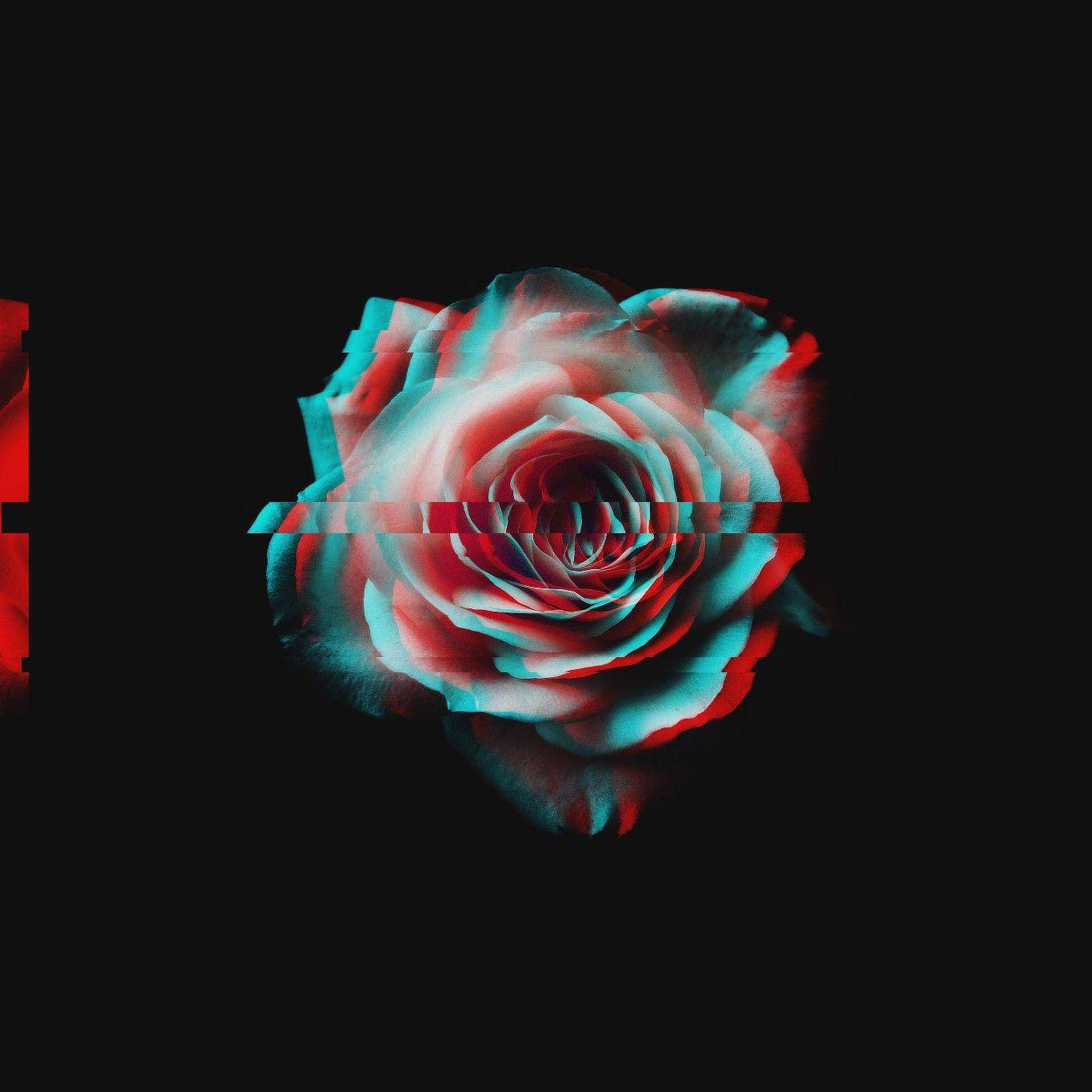 glitched rose, red and cyan color fringes, black background, Full HD Desktop Wallpaper