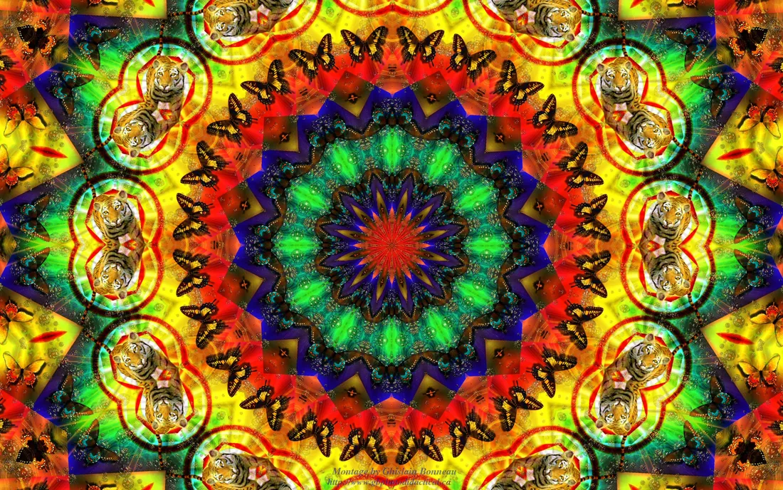 Trippy Hippie