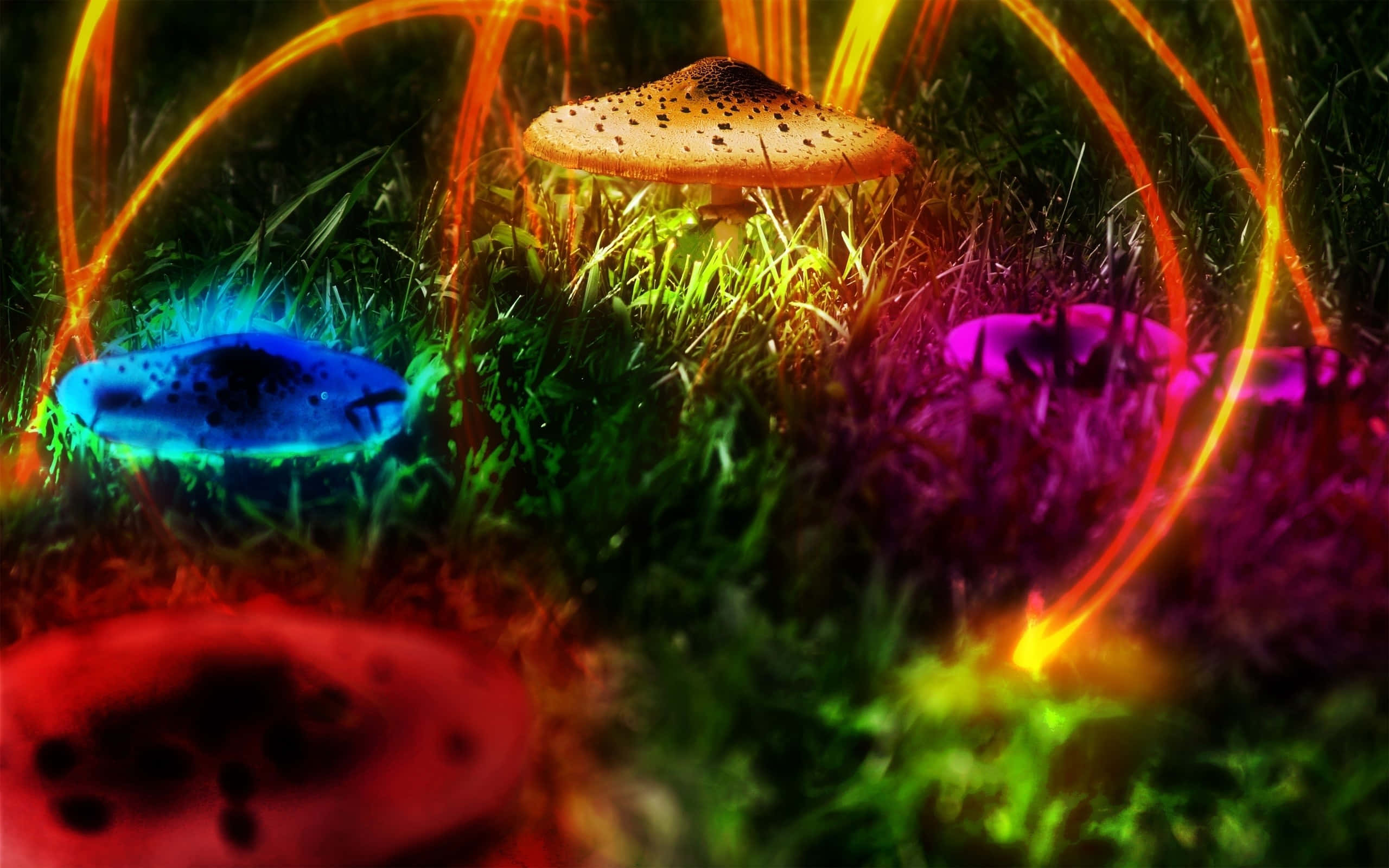 Trippy Nature, neon hues, glowing mushrooms, 2K Desktop Wallpaper