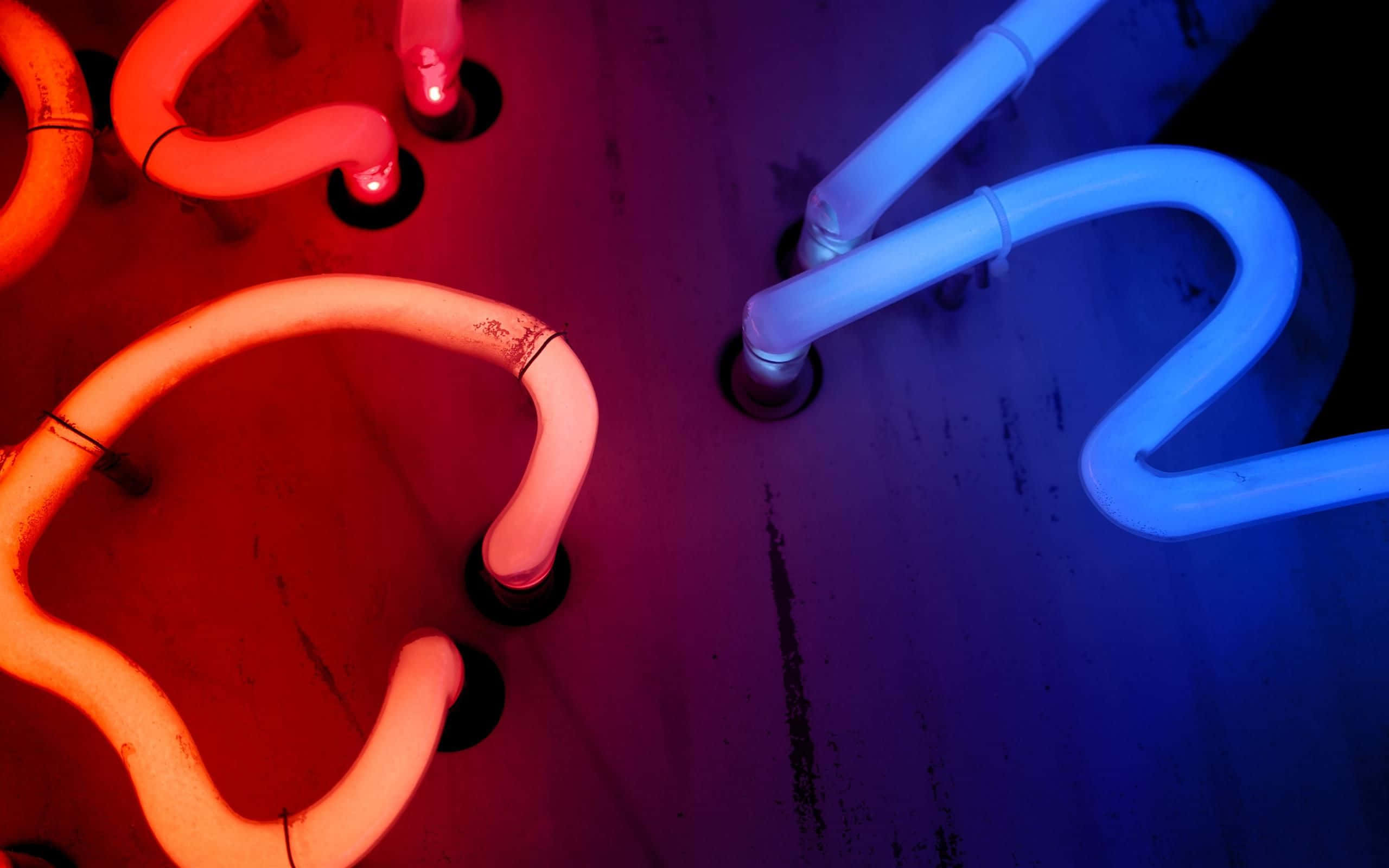 neon lights, red, blue, 2K Desktop Wallpaper